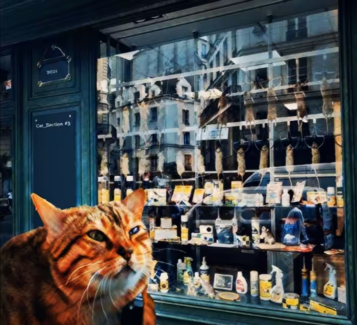 Cat_llection #3 - Cat_feast