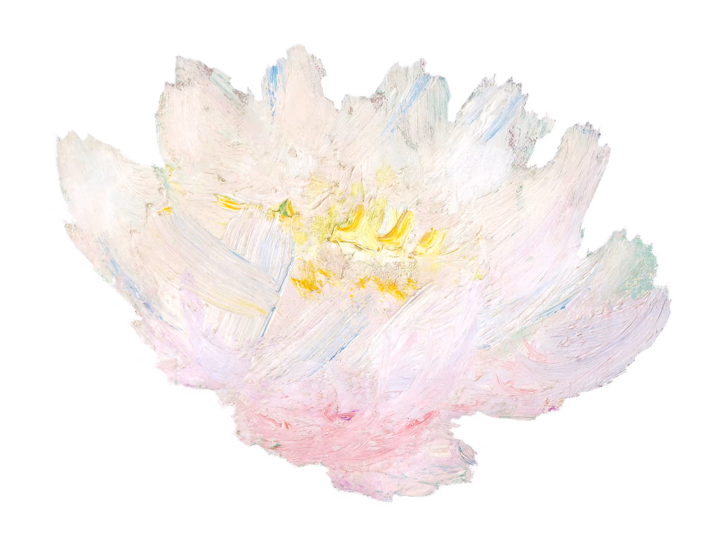 Pink Bloom