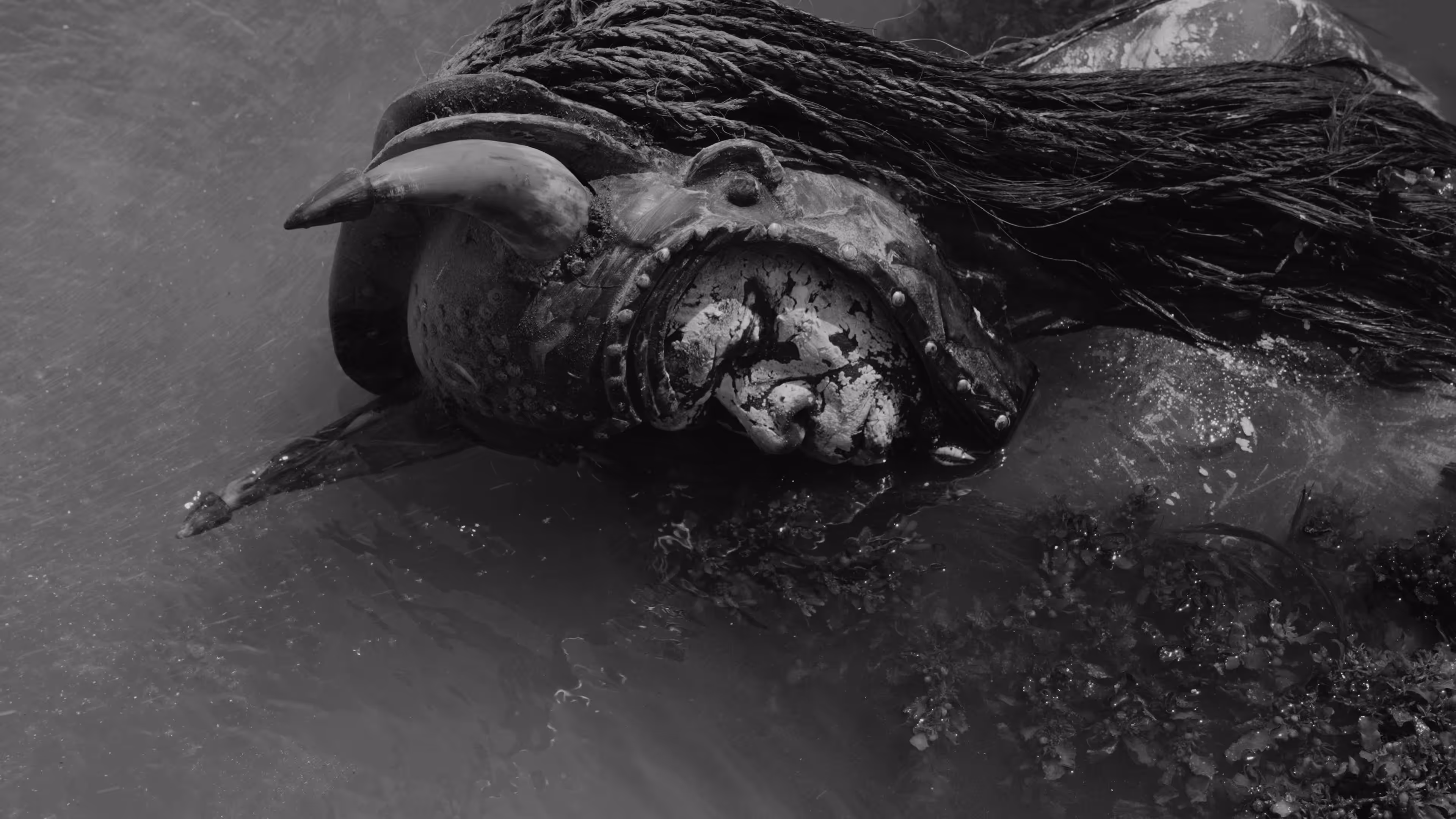 Cetus Turned to Stone