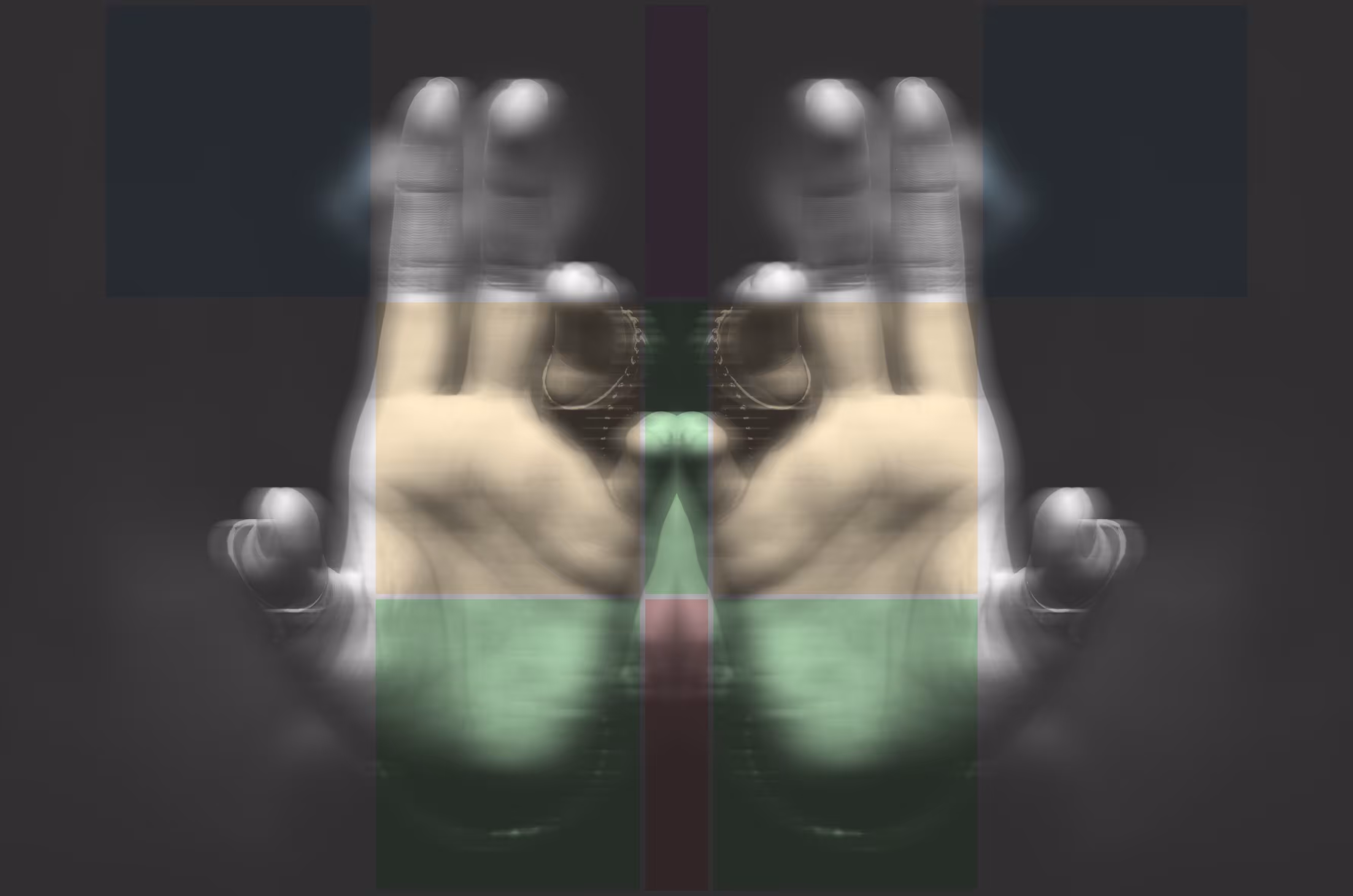 The Mirror Touch