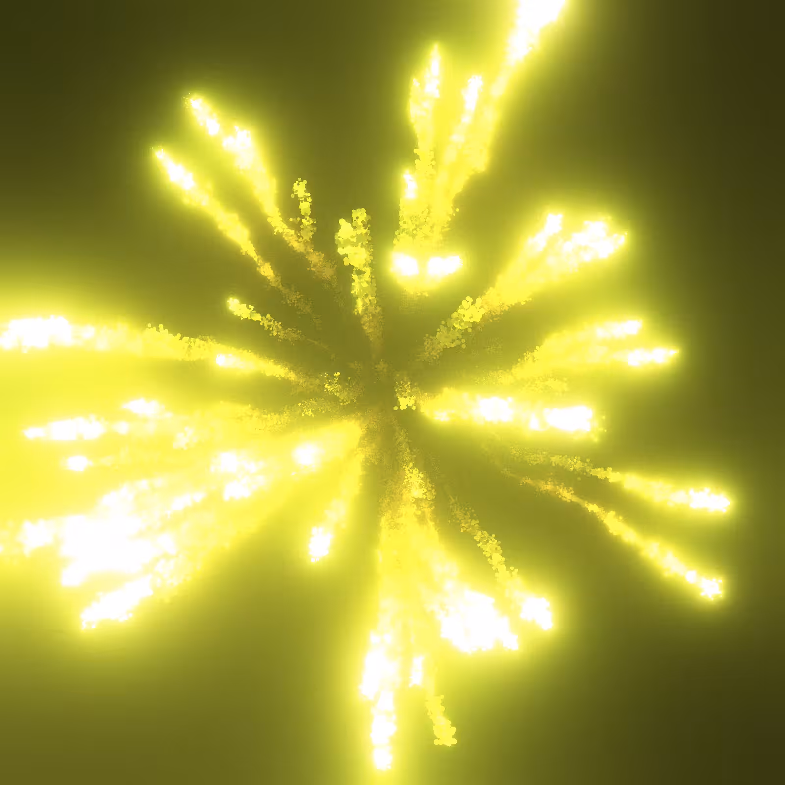 fireworks #28