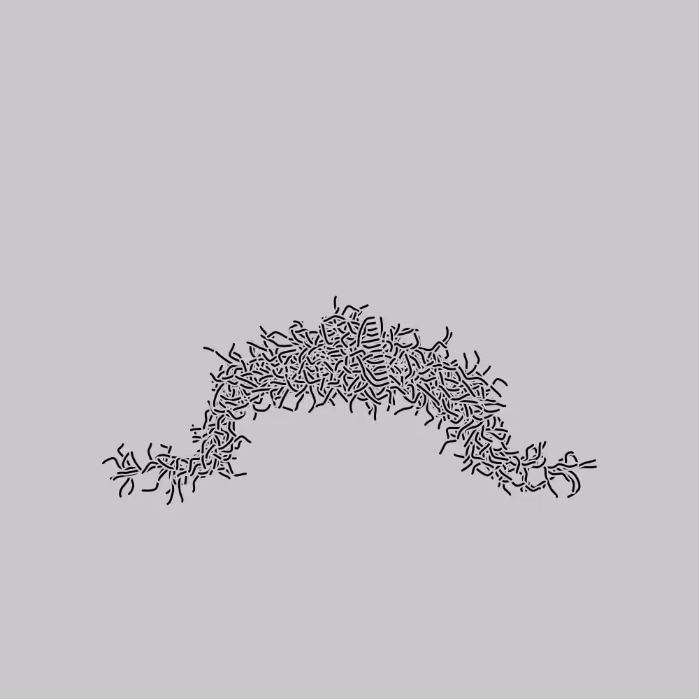 Moustache