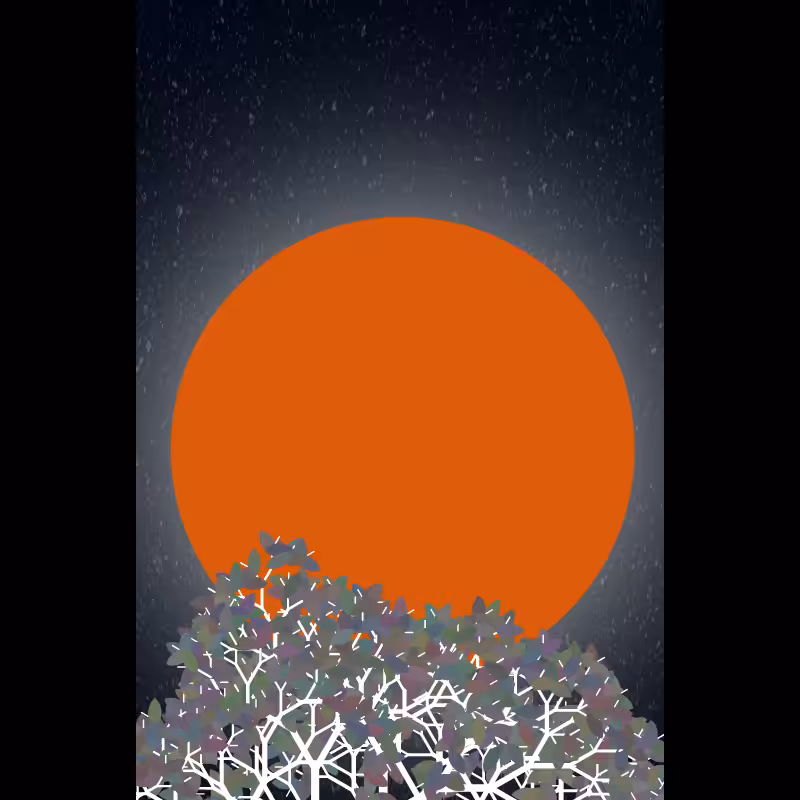 Moonlight Sonata #48