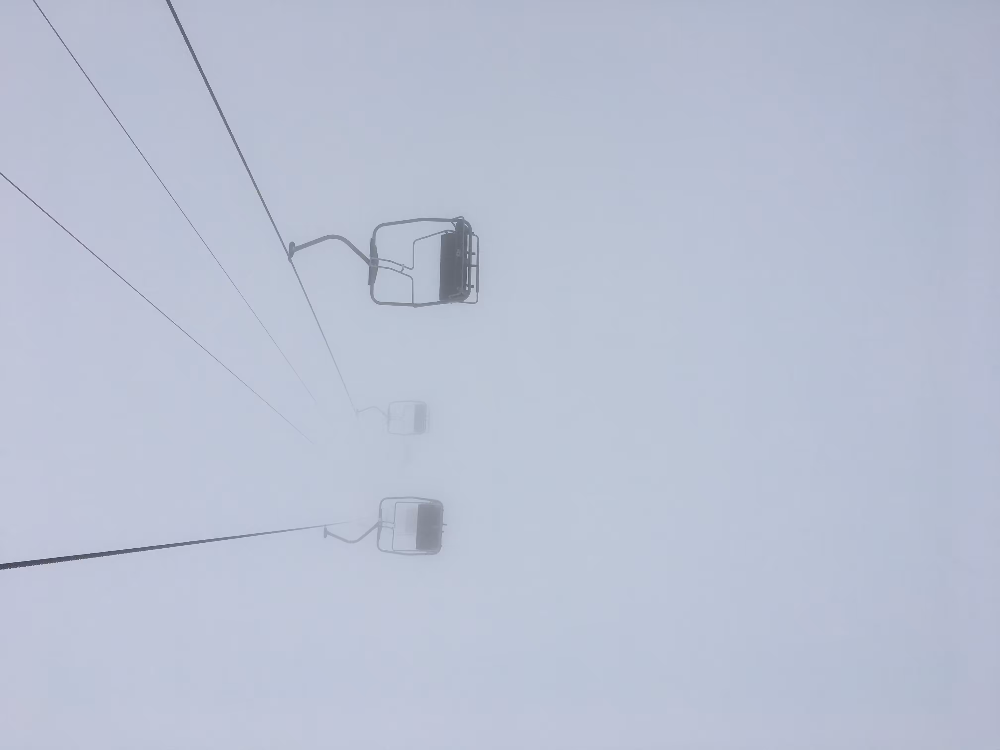 in from the fog