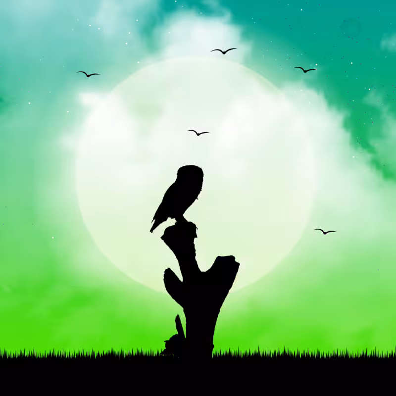 We Care...Owl #5