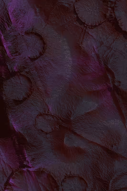 Reconnaissance #281
