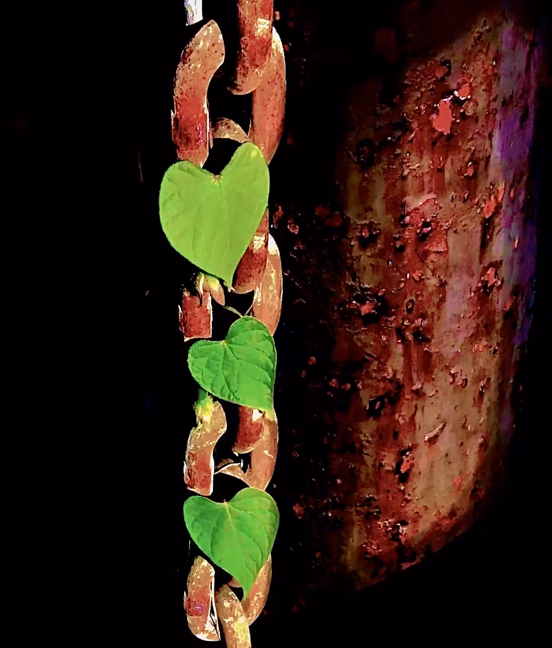 "Hearts in Chains"
