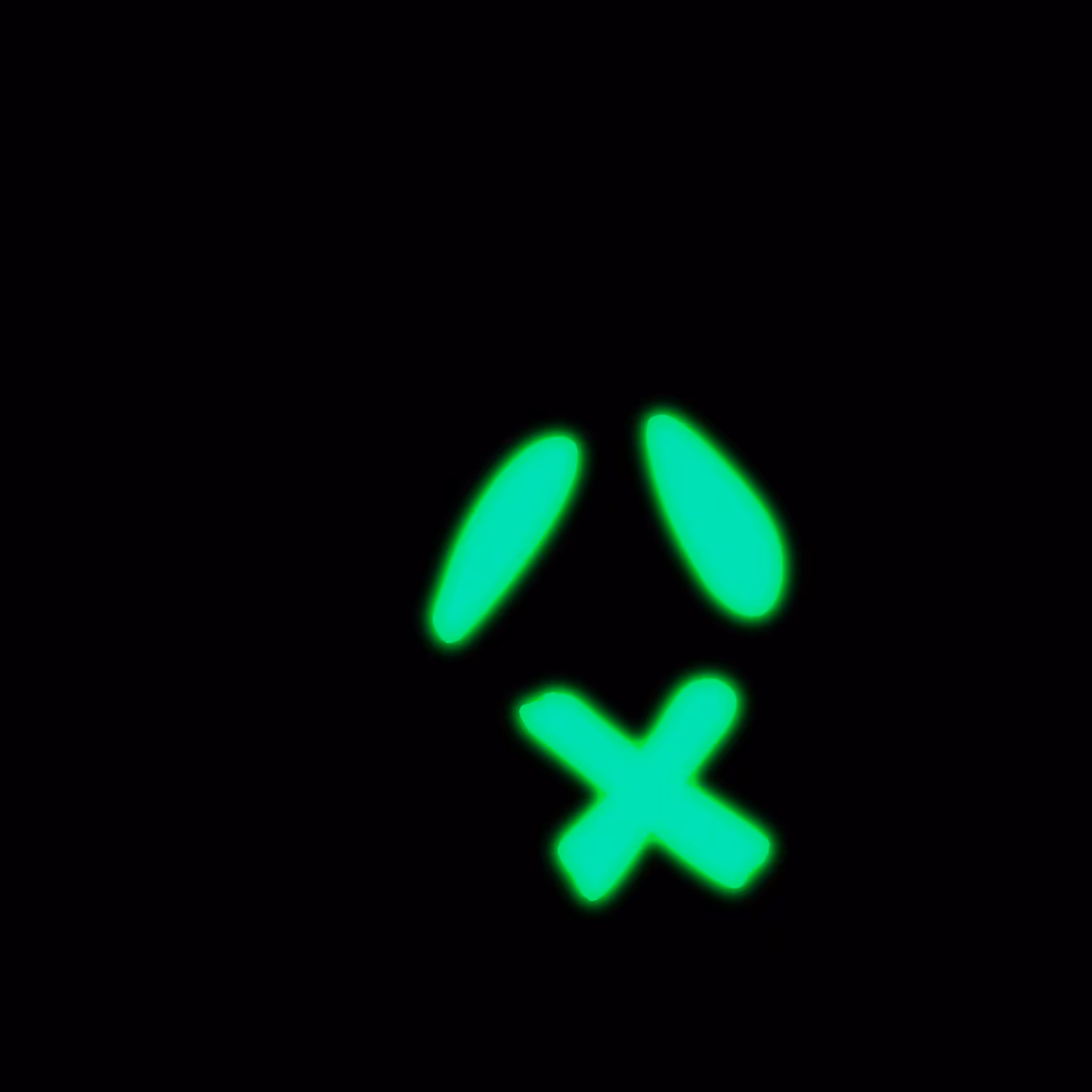 Glow-in-the-Skelly