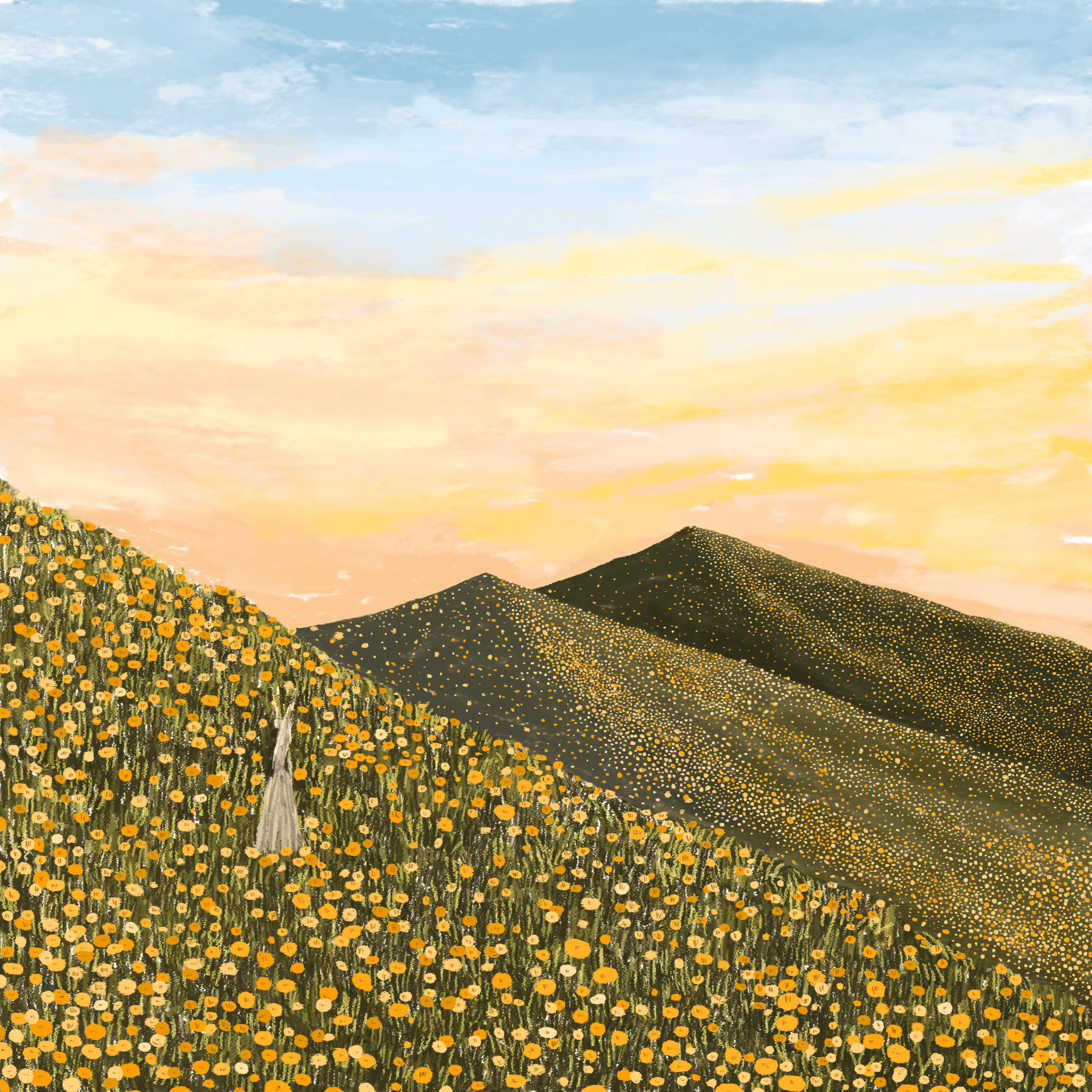 orange meadow