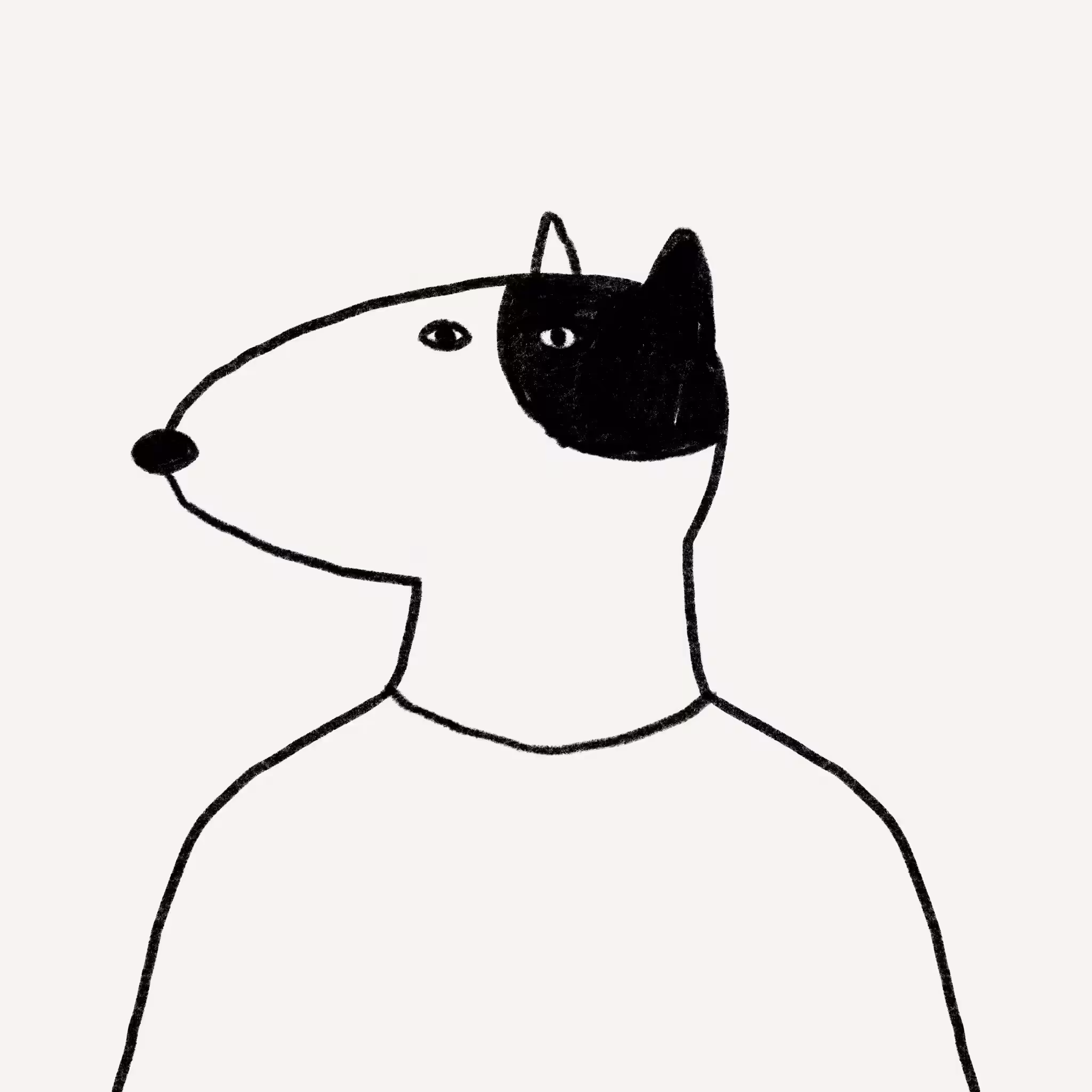 Pawww #05