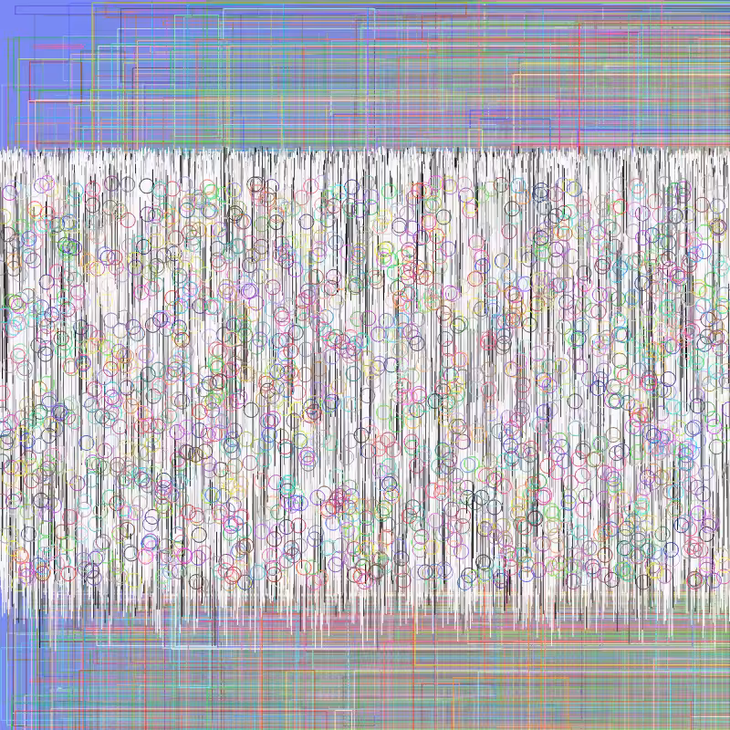 Blank #2