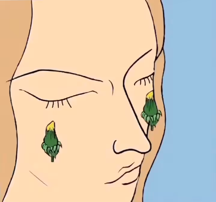 Lady Dandelion