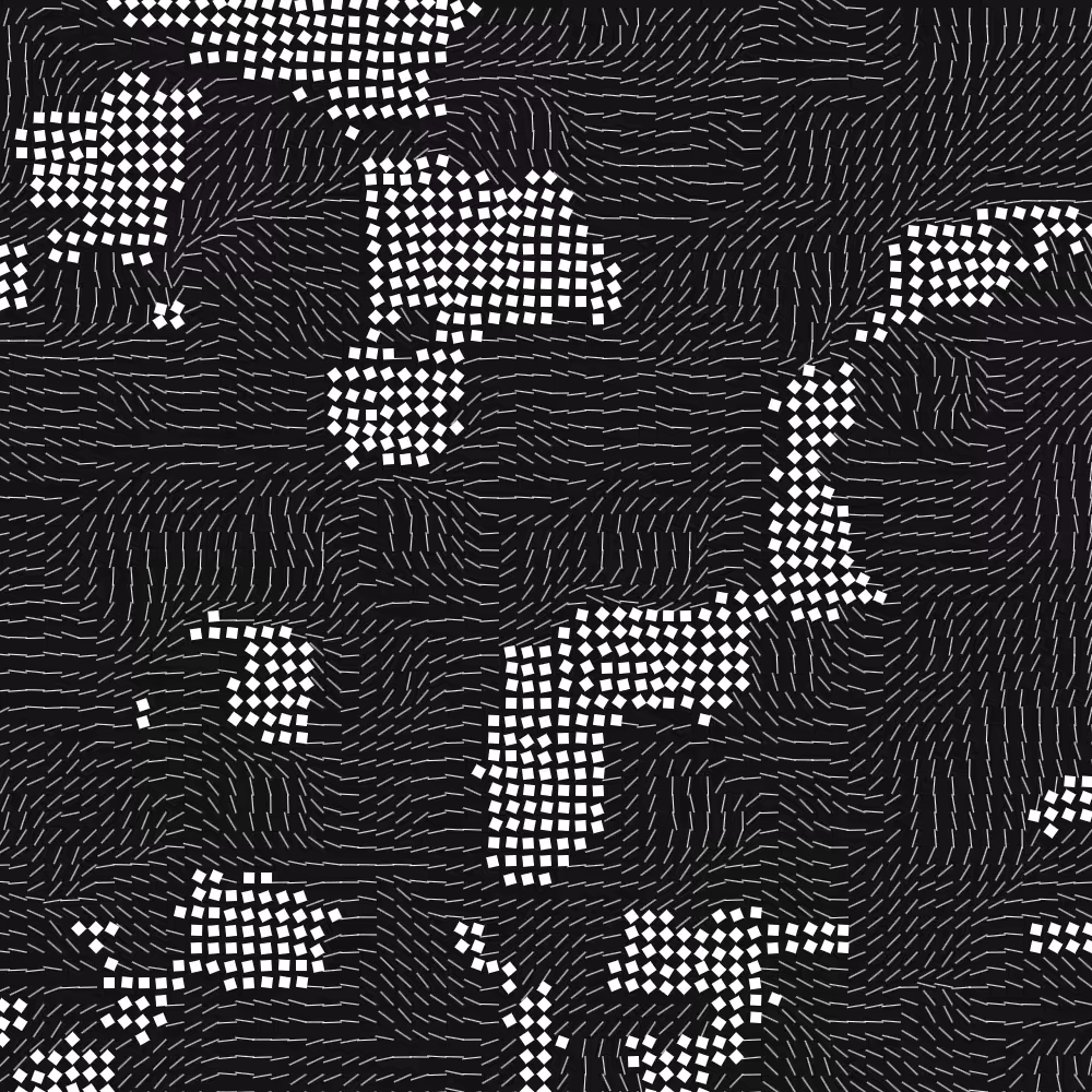 Geometric Fluidity #341