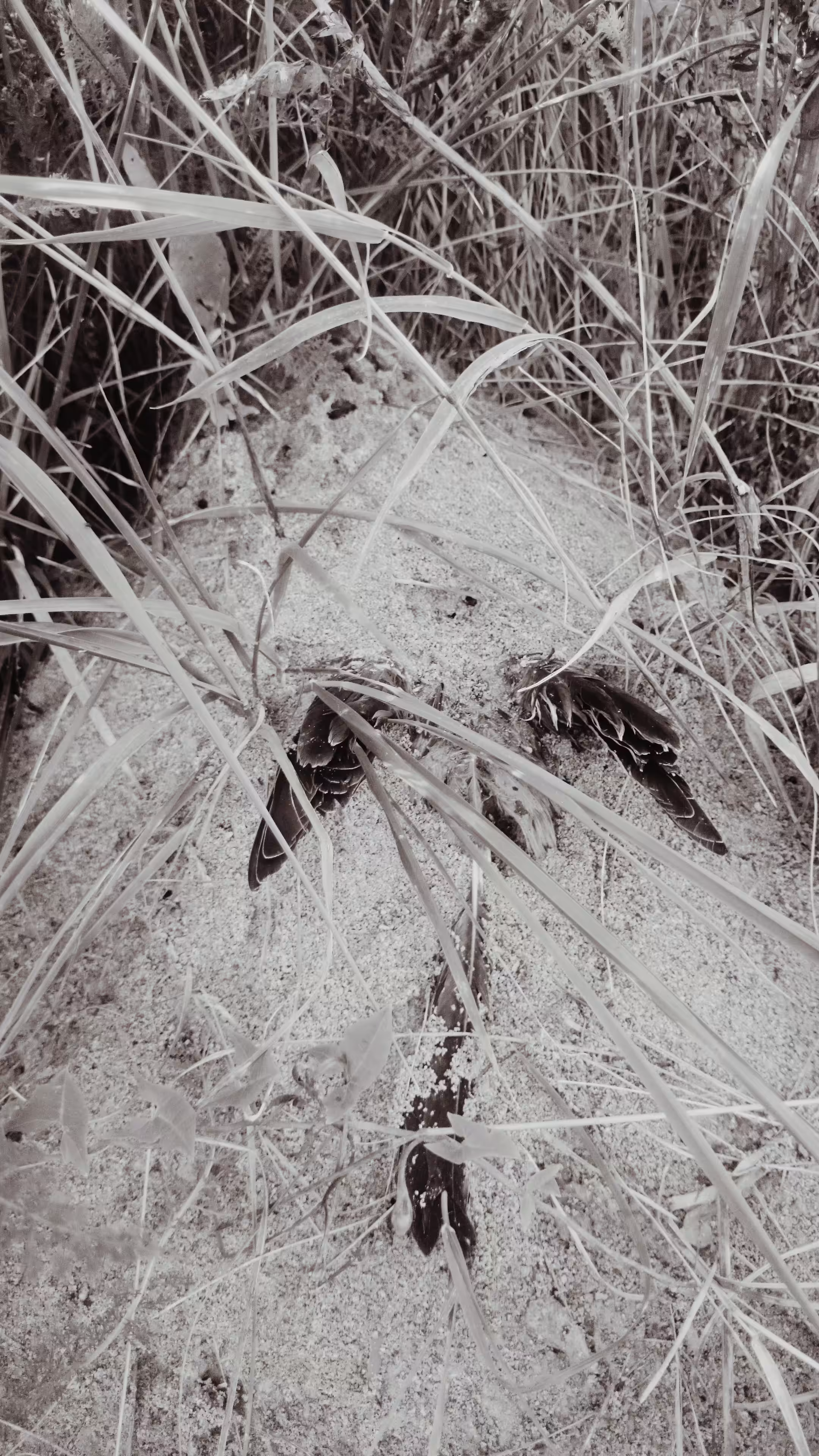Photos: Underground flight
