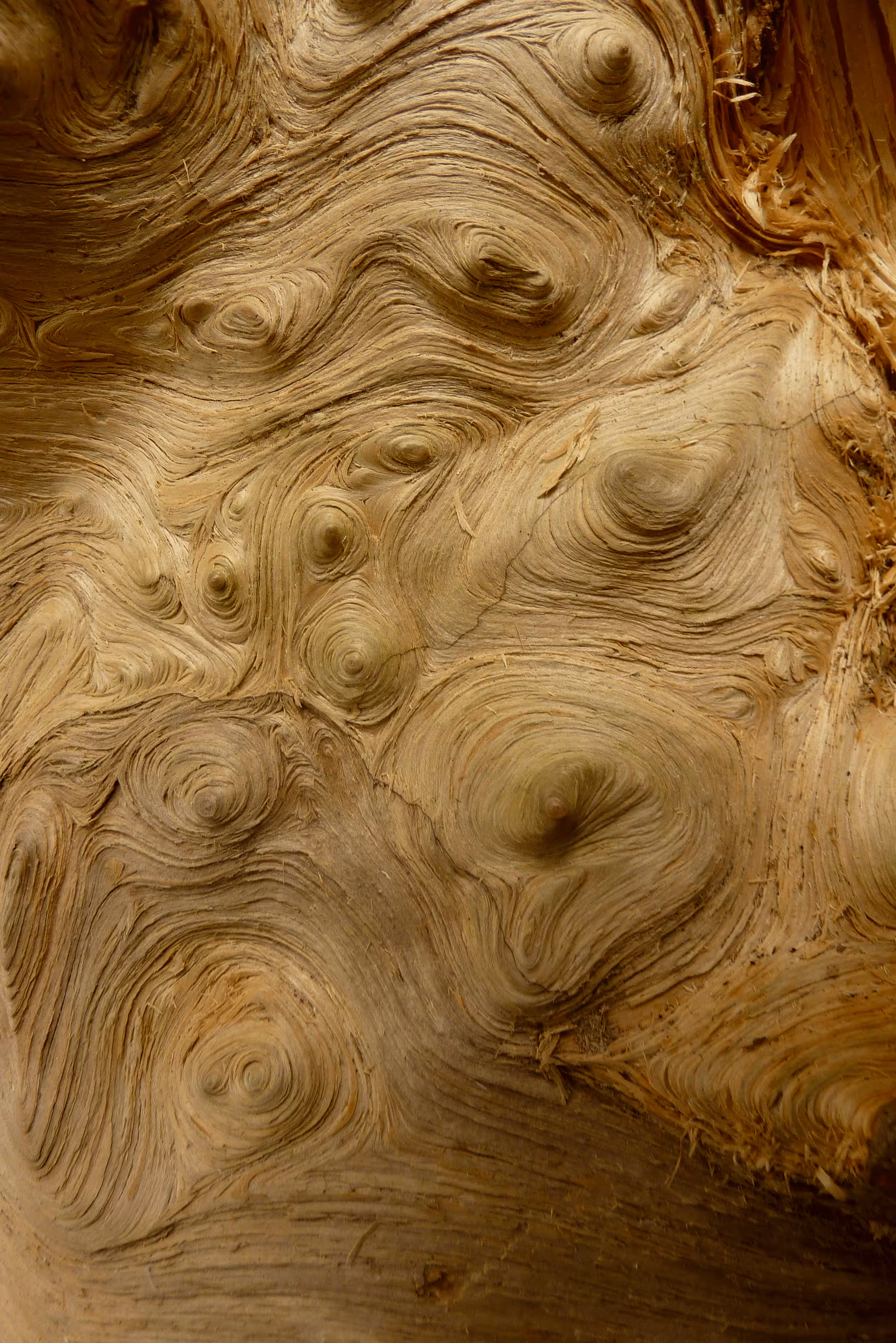 Textures #06