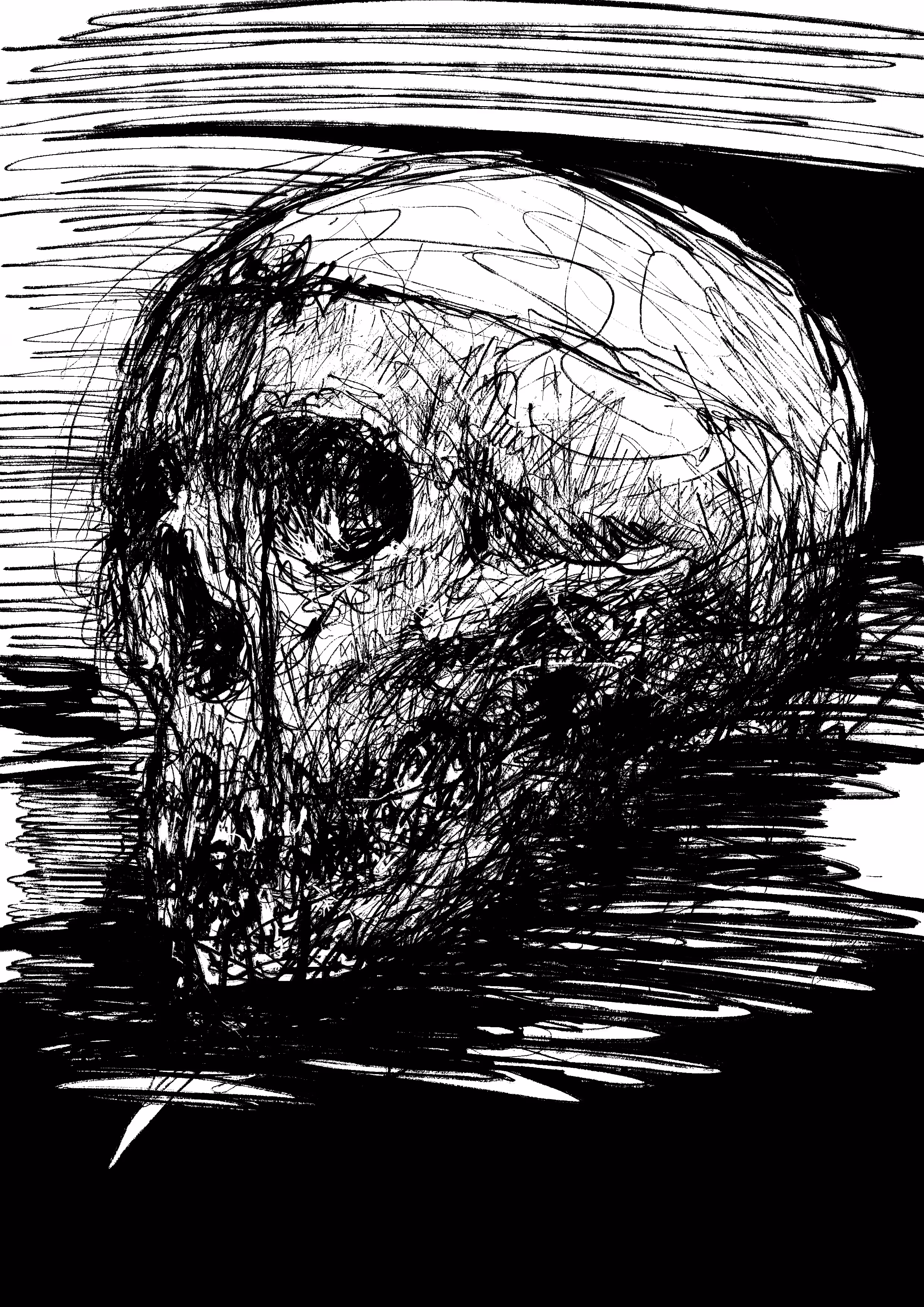 Skull Drawing 1