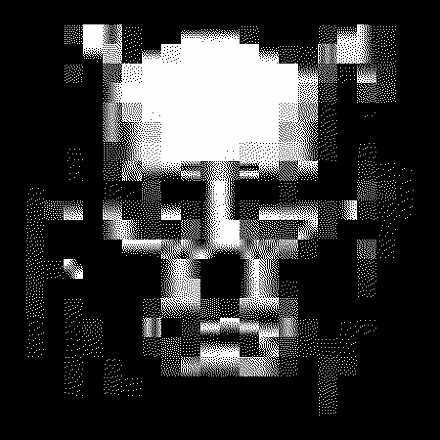 Rodeo posts: dct 1-bit dither