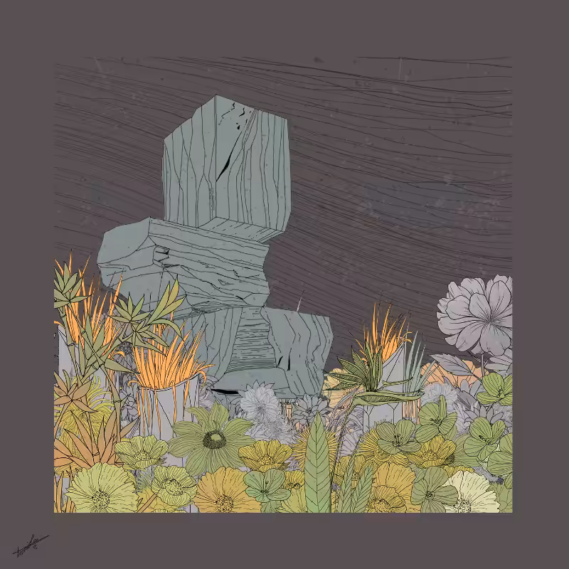 Garden of Lines #Rocks_Blooms #39