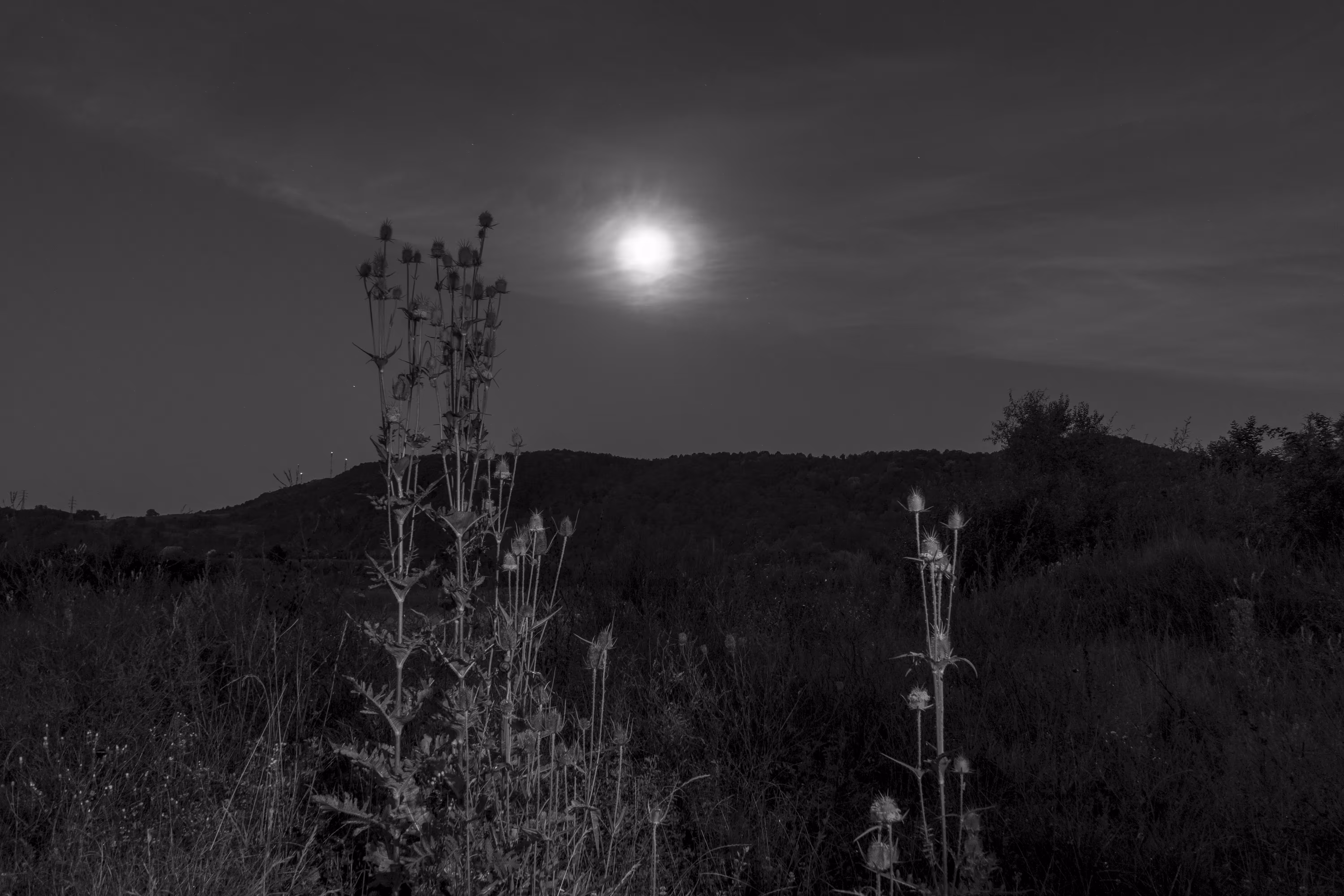 midnight in a perfect world #19