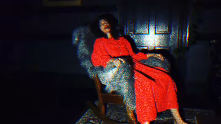 THE RED PORTRAIT