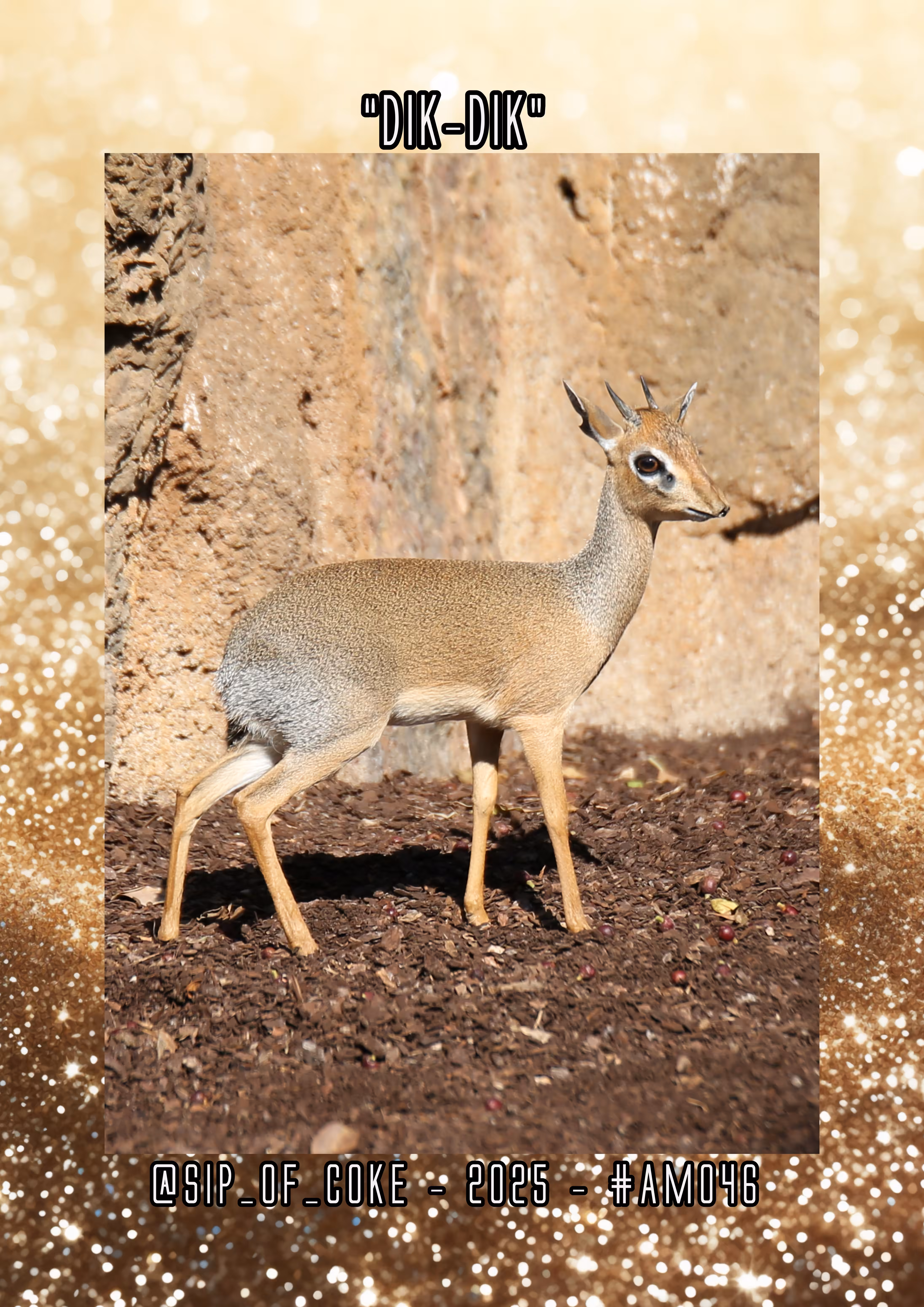Dik-Dik by Sip_Of_Coke