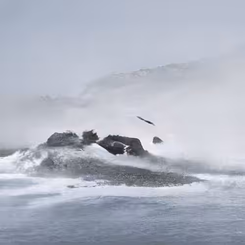 Island #16  [Rare Frozen Area]