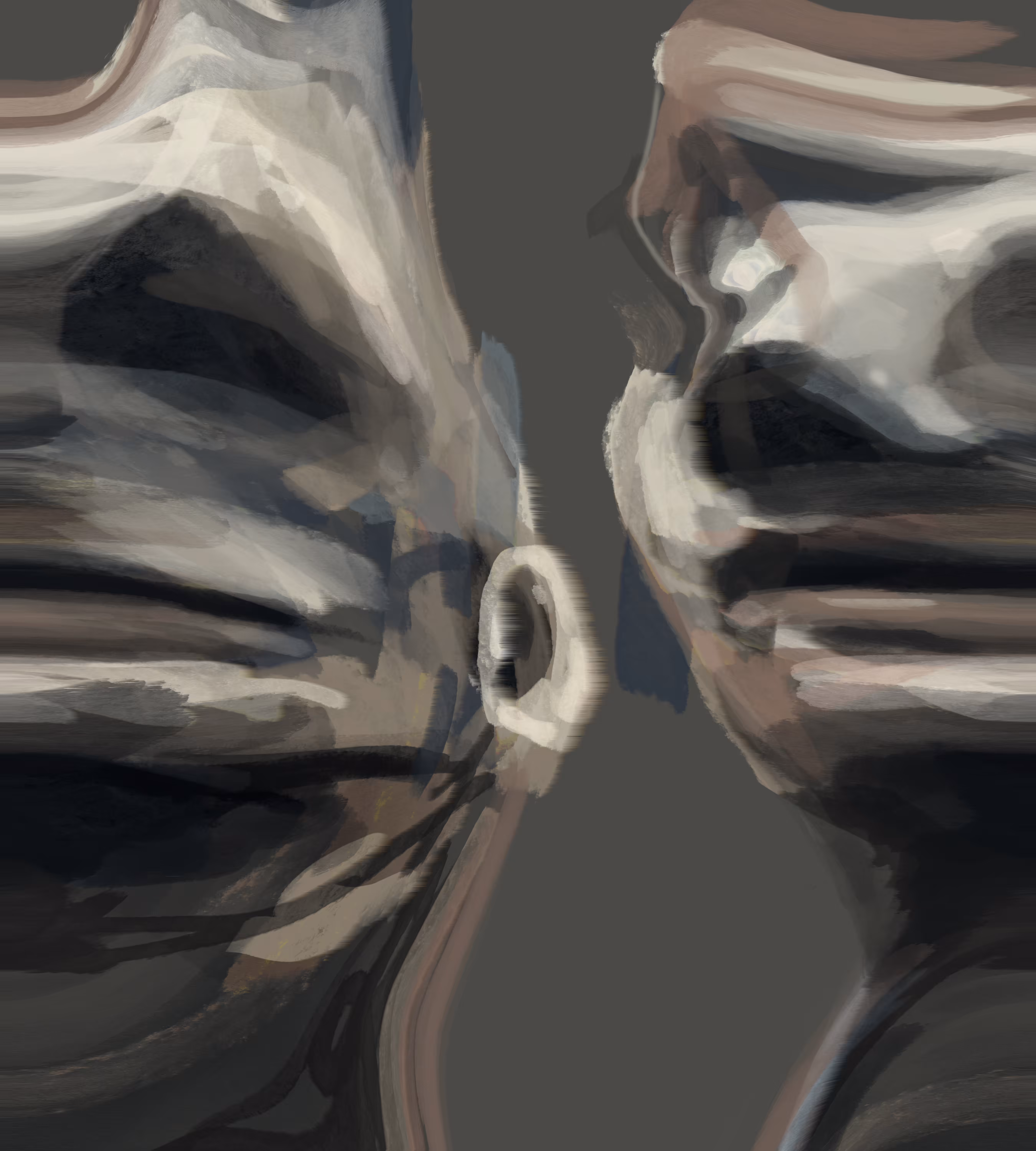 A World Distorted 