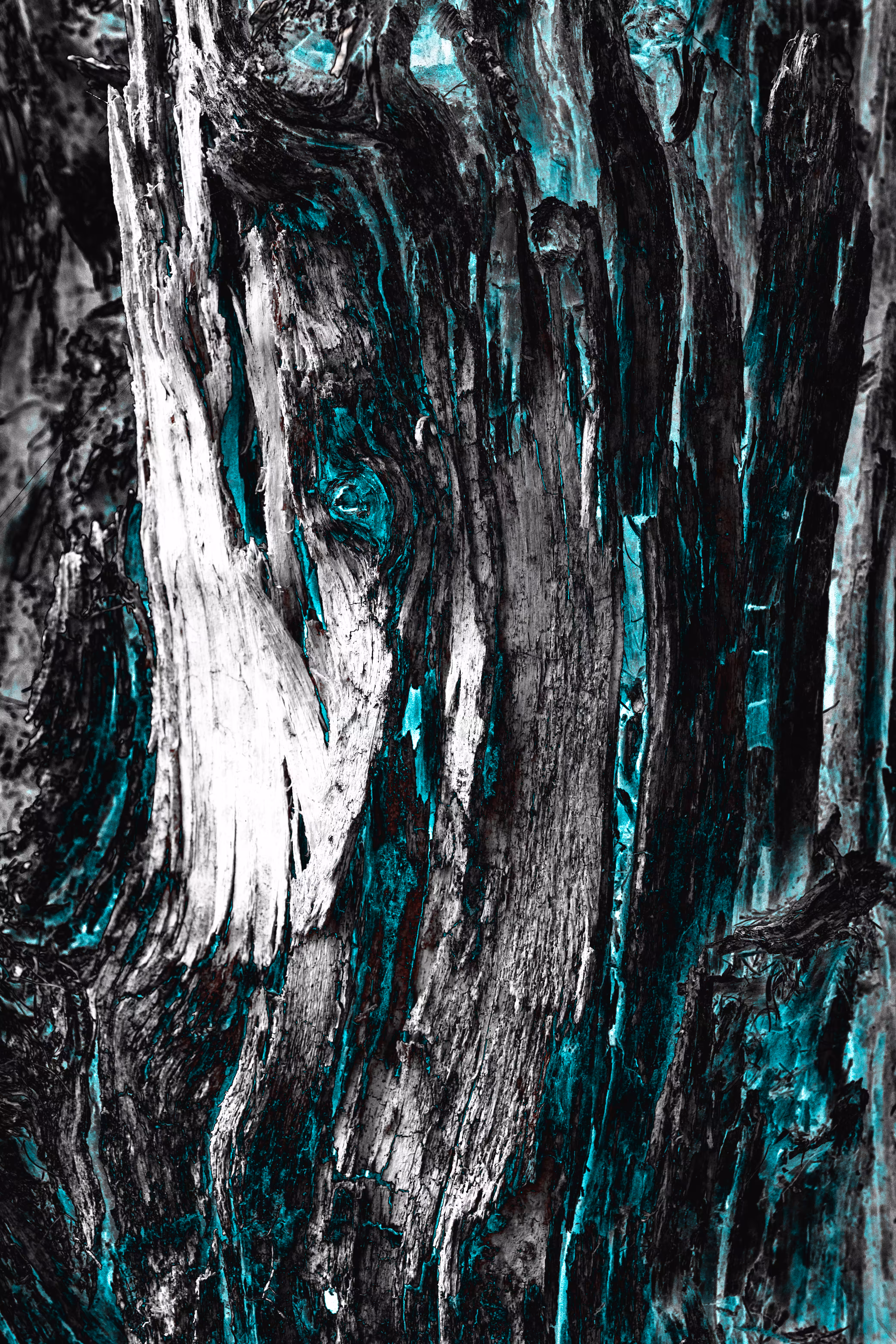 BLUE GLIMPSES
