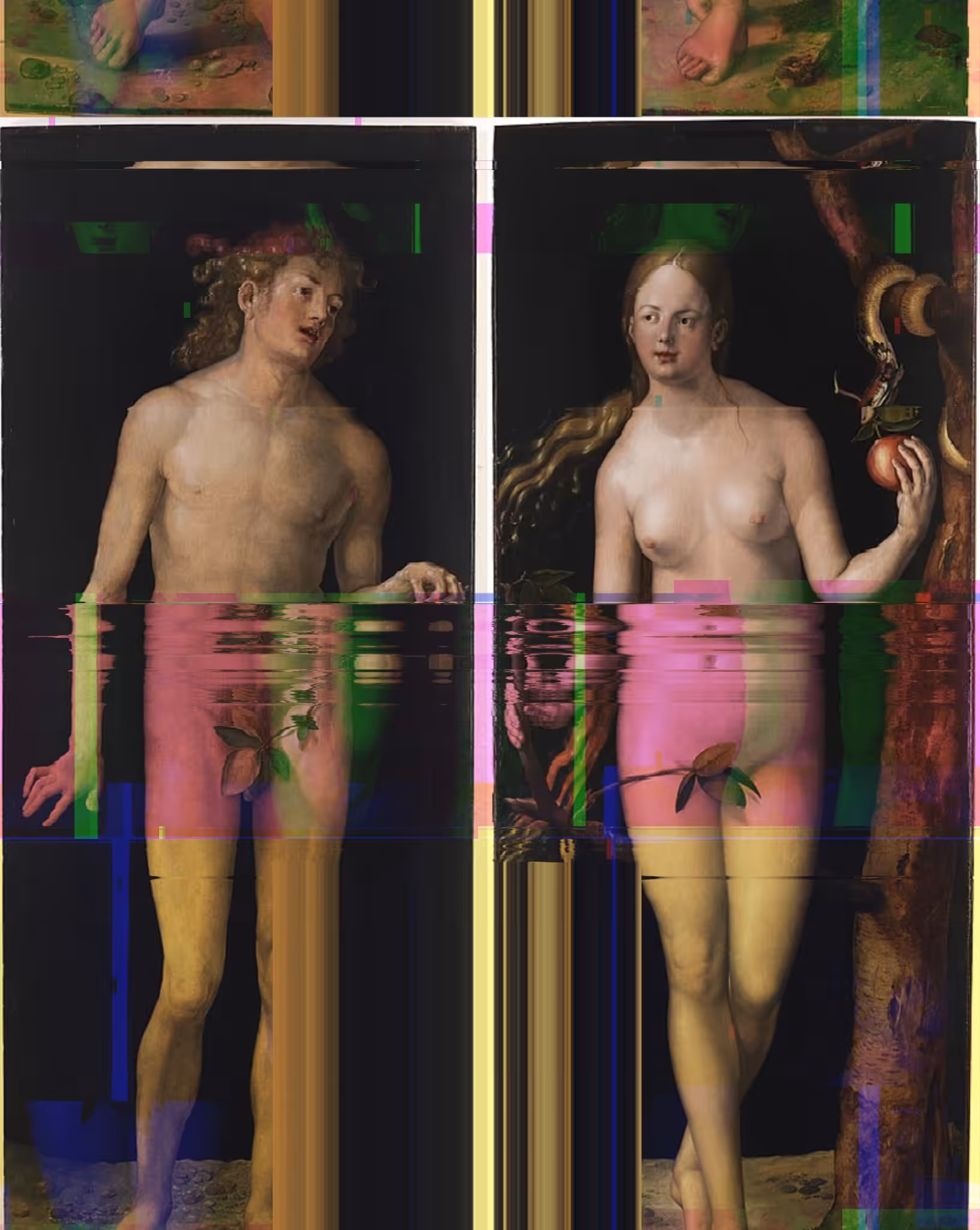 tribute to Durer