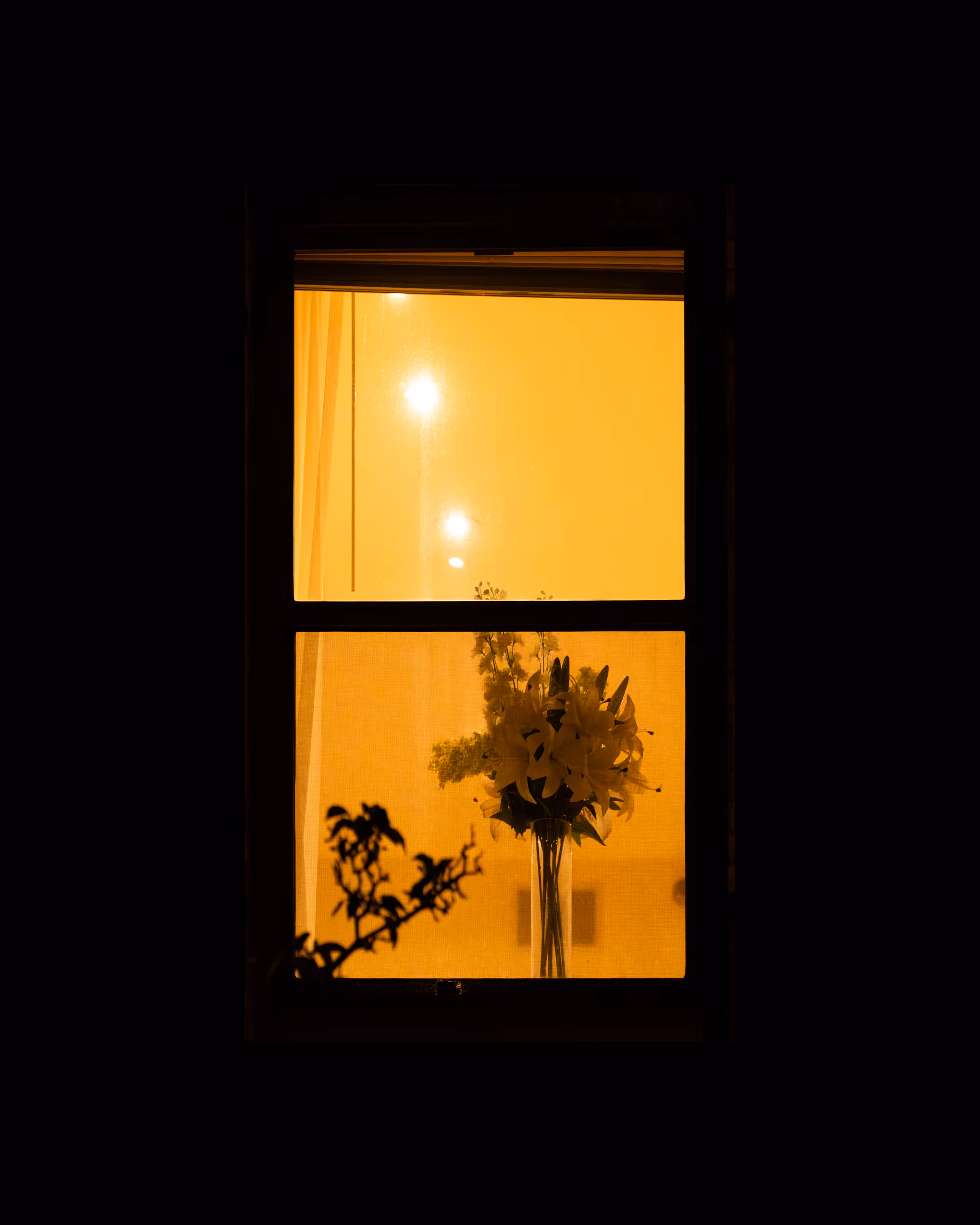 WINDOW 28