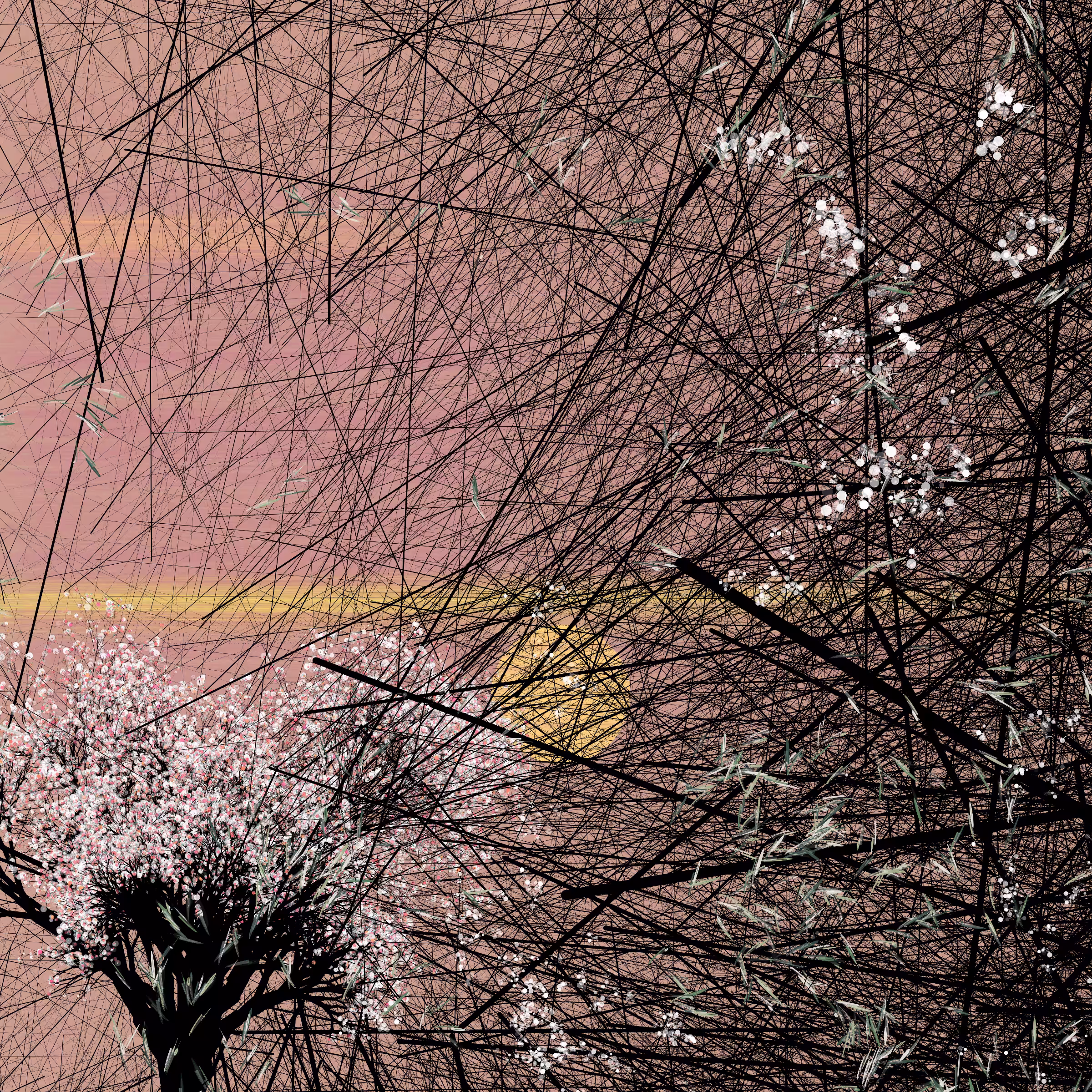 conversation with the wind #213
