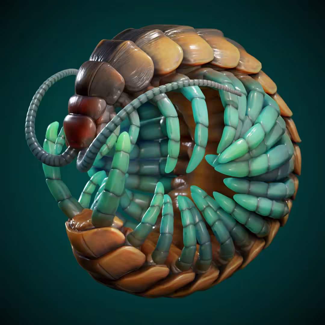 Blue Centipede