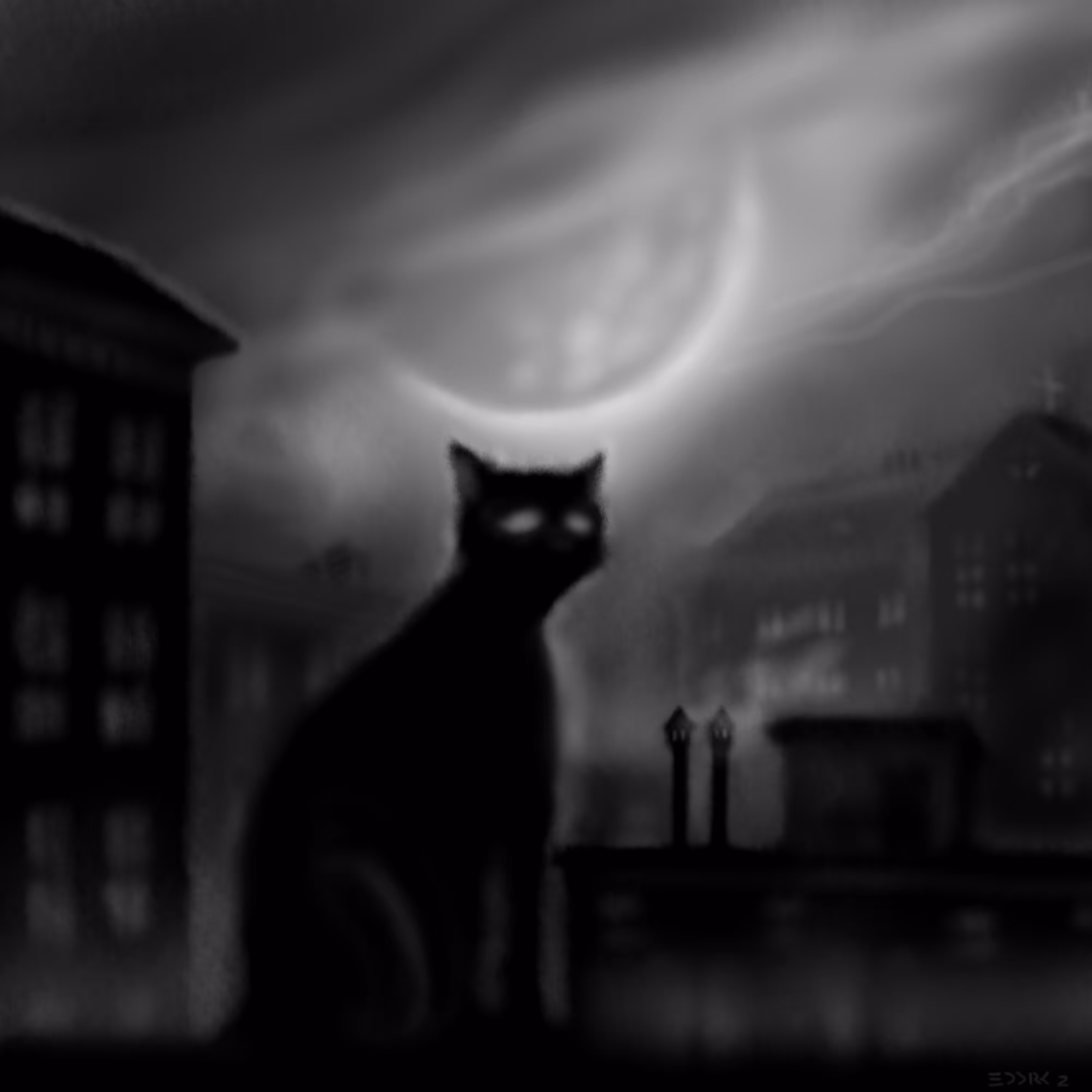 Dark city: cats