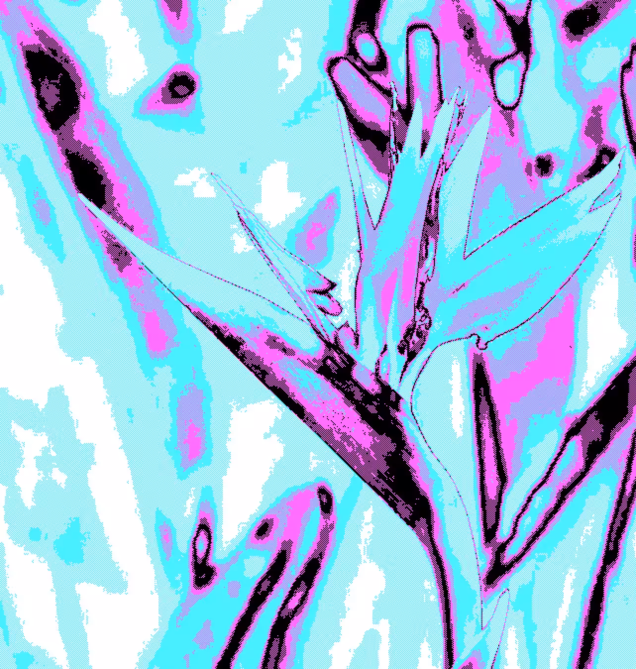 Bird of Paradise_Pastel