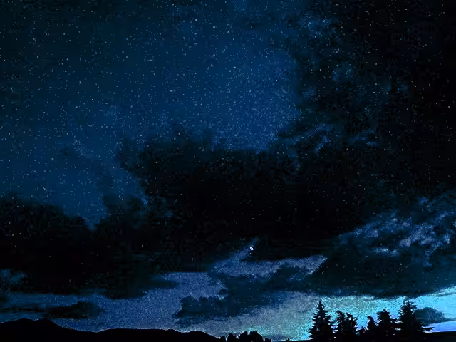Moonlight over the woods
