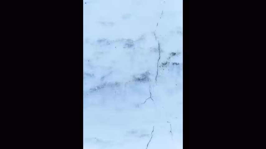 Hate Poem
