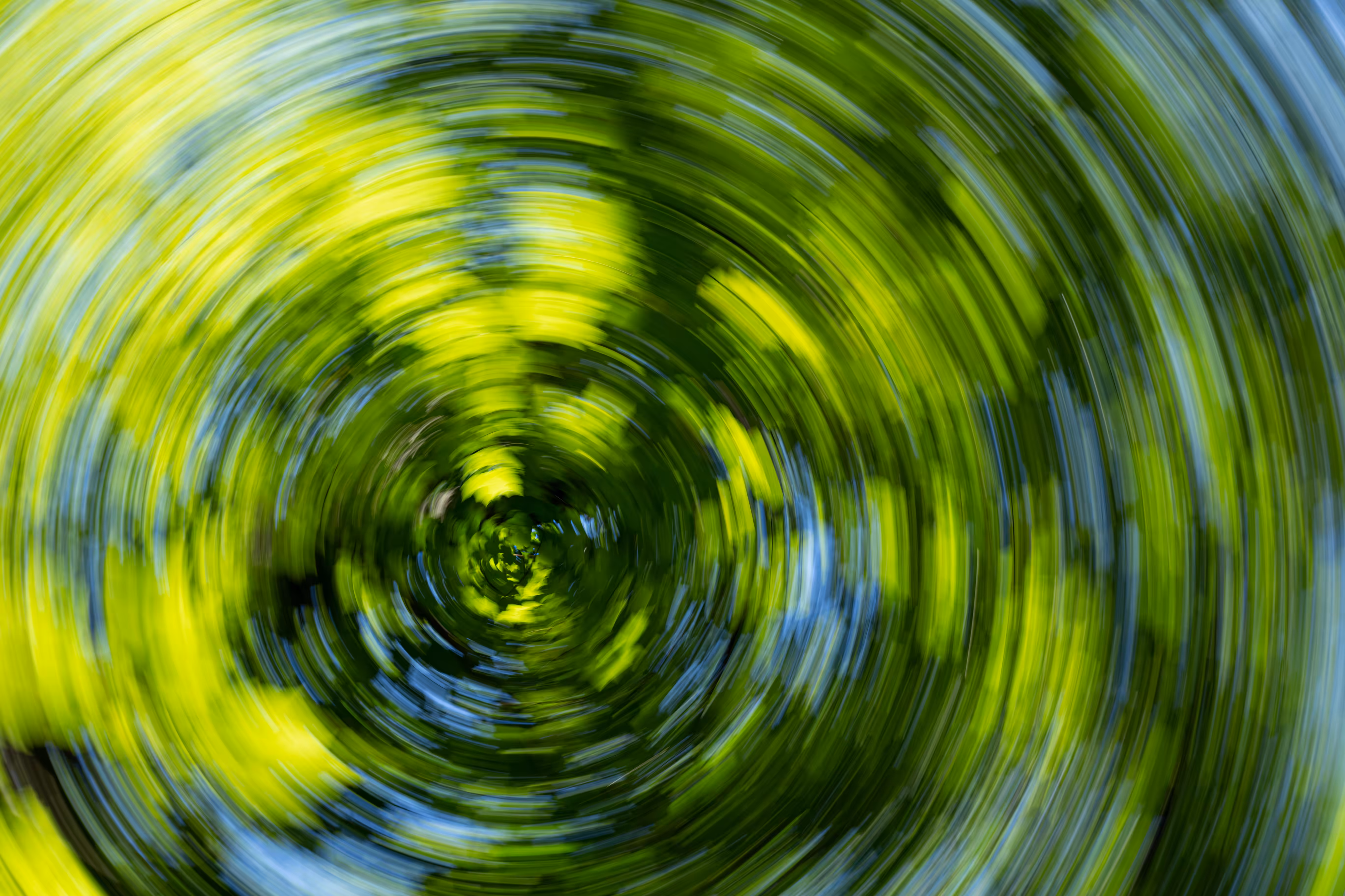 Tree Rings #45 - Lush