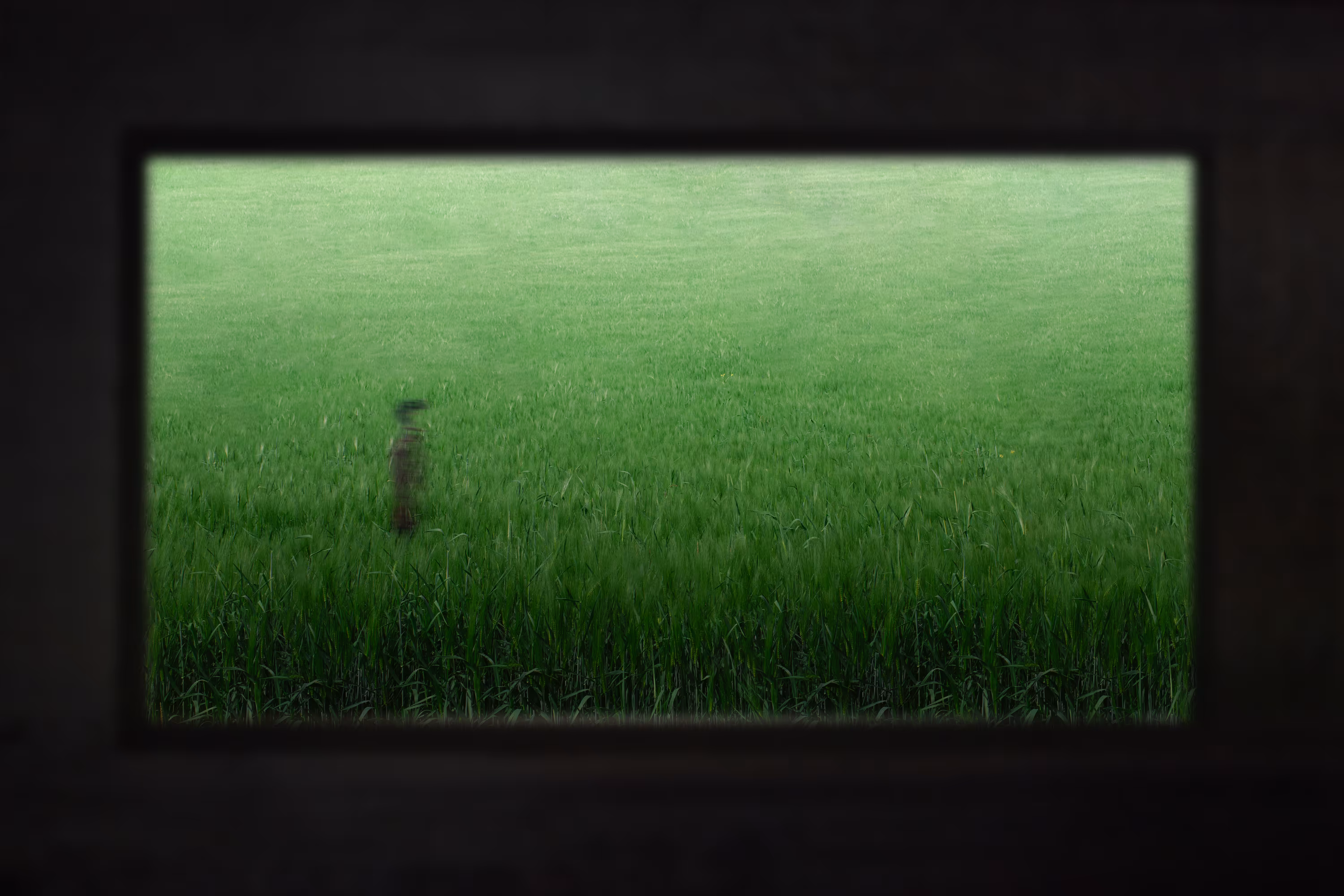 Wandering Soul