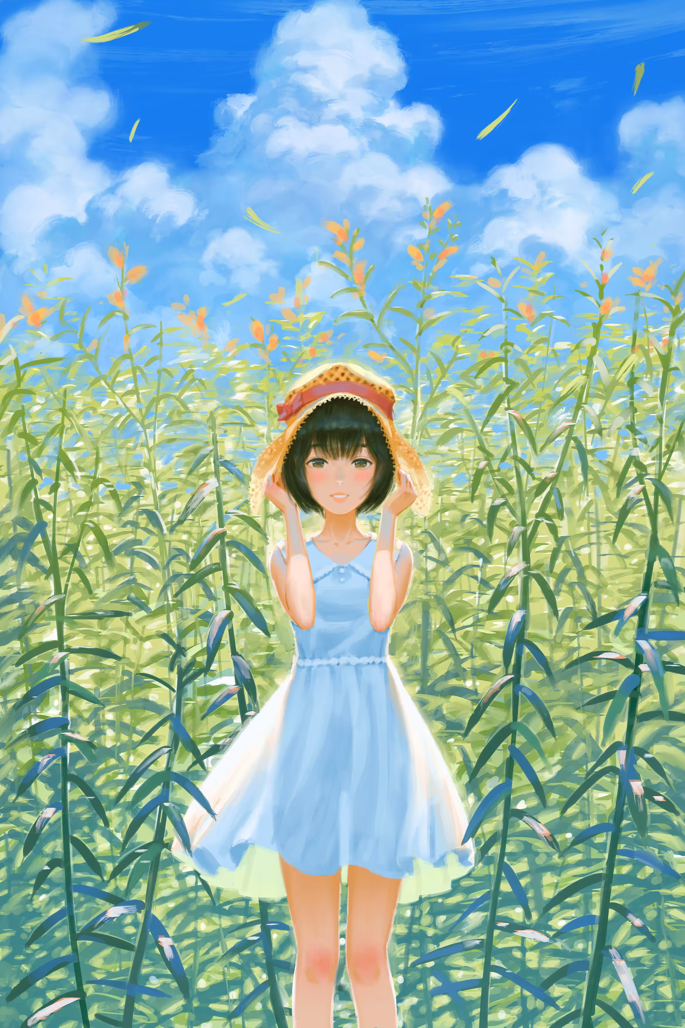 Memory of summer