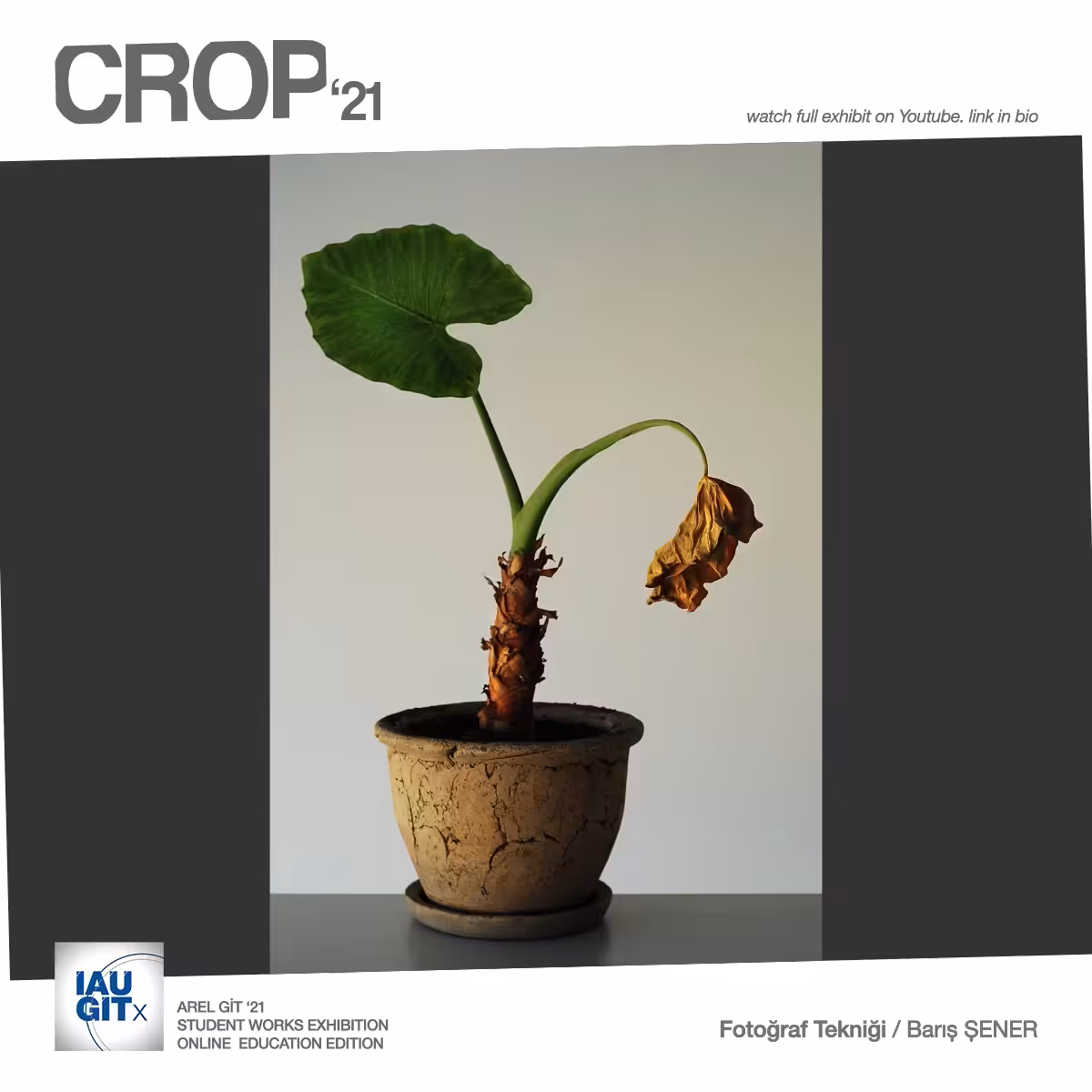 CROP'21 Photography C