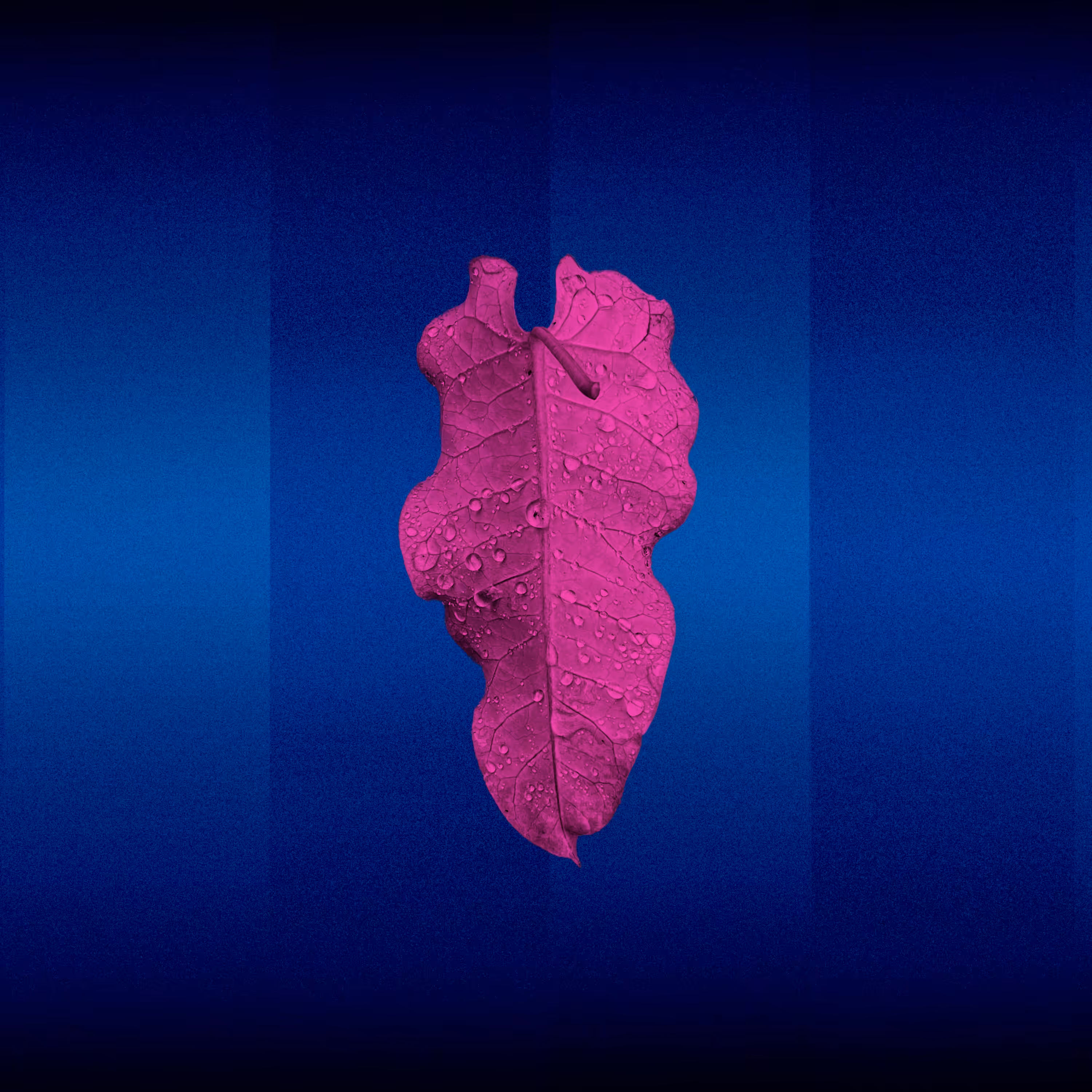 Organic Series - LEAVES