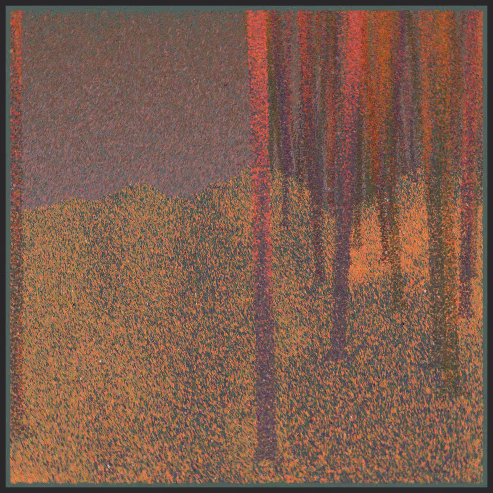 forest #170