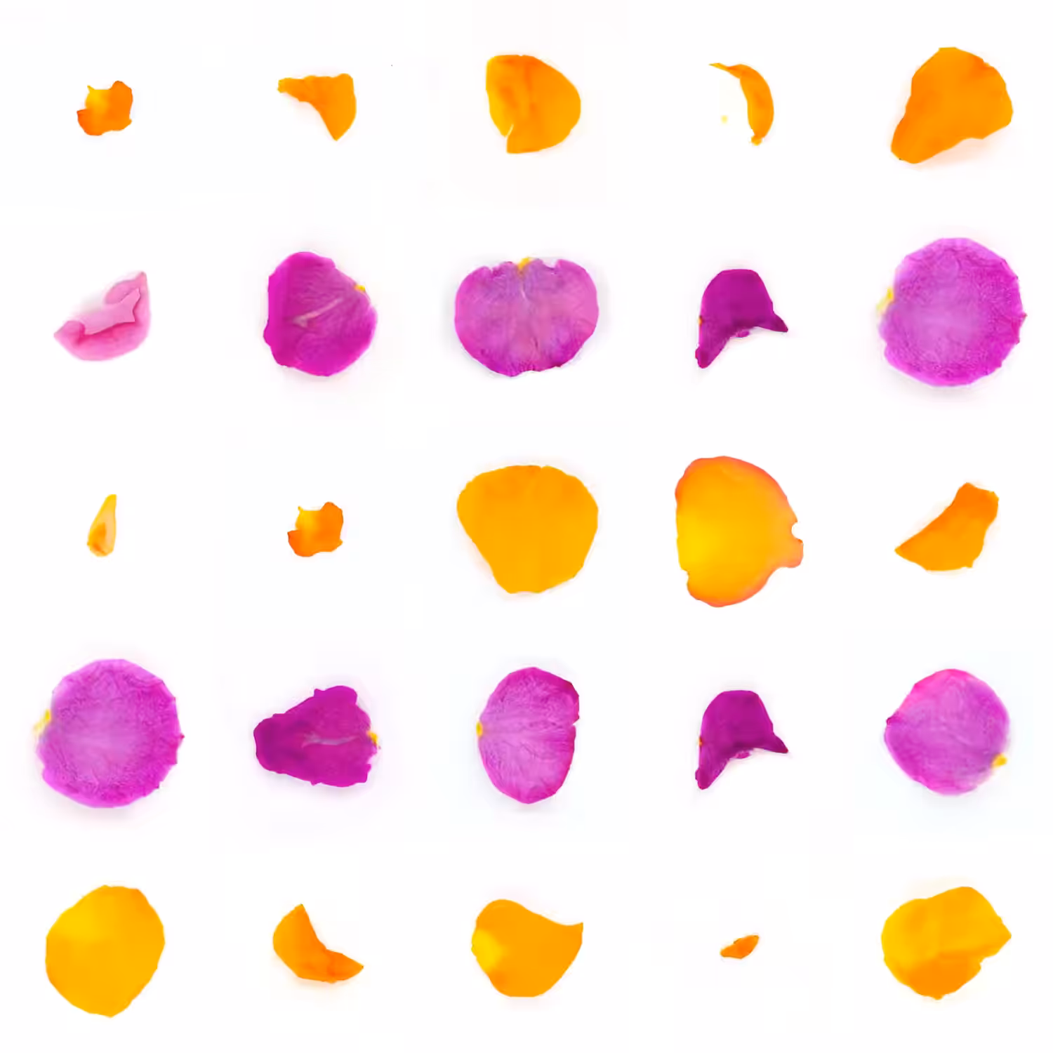 Infinite Petals 5x5#2844