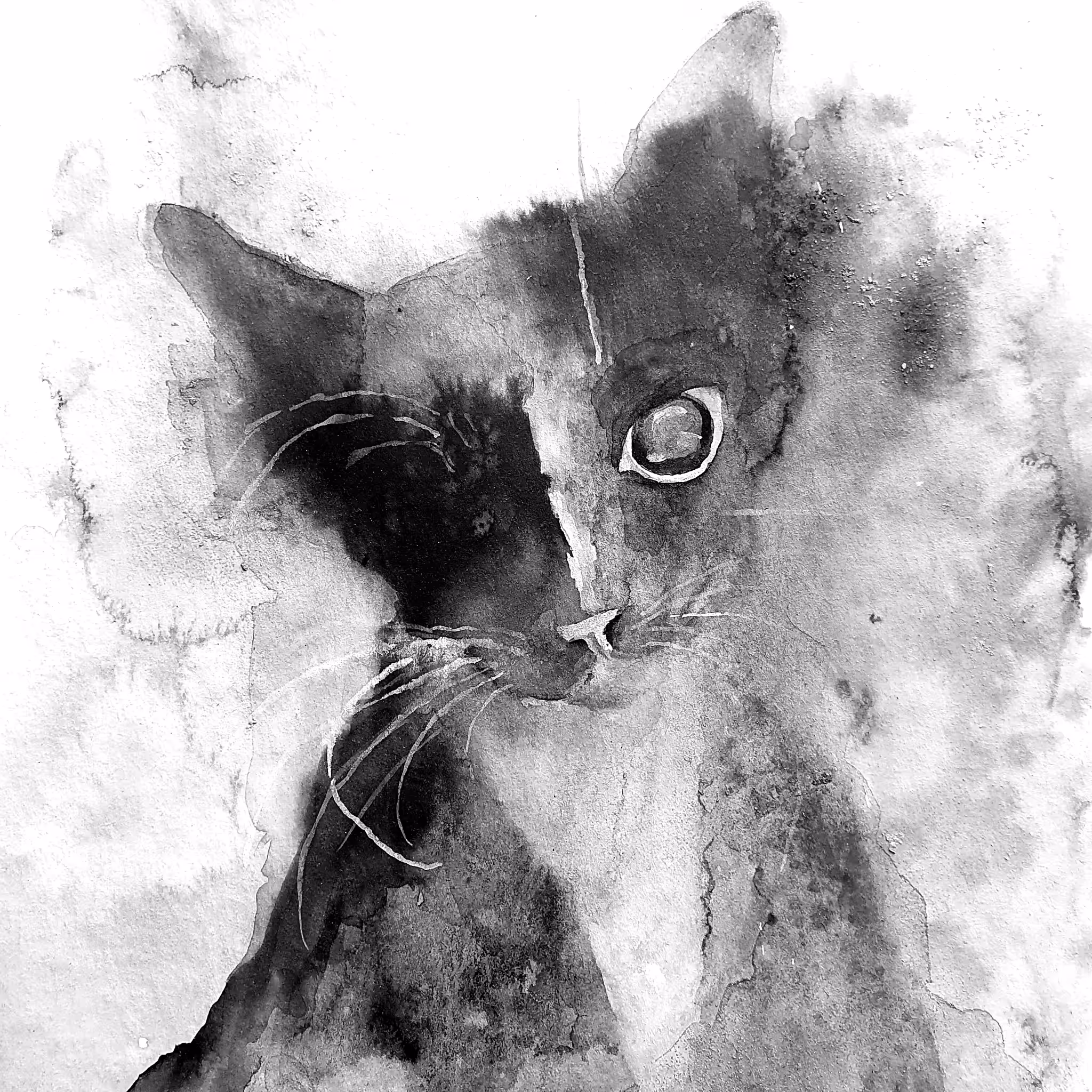  One-eyed