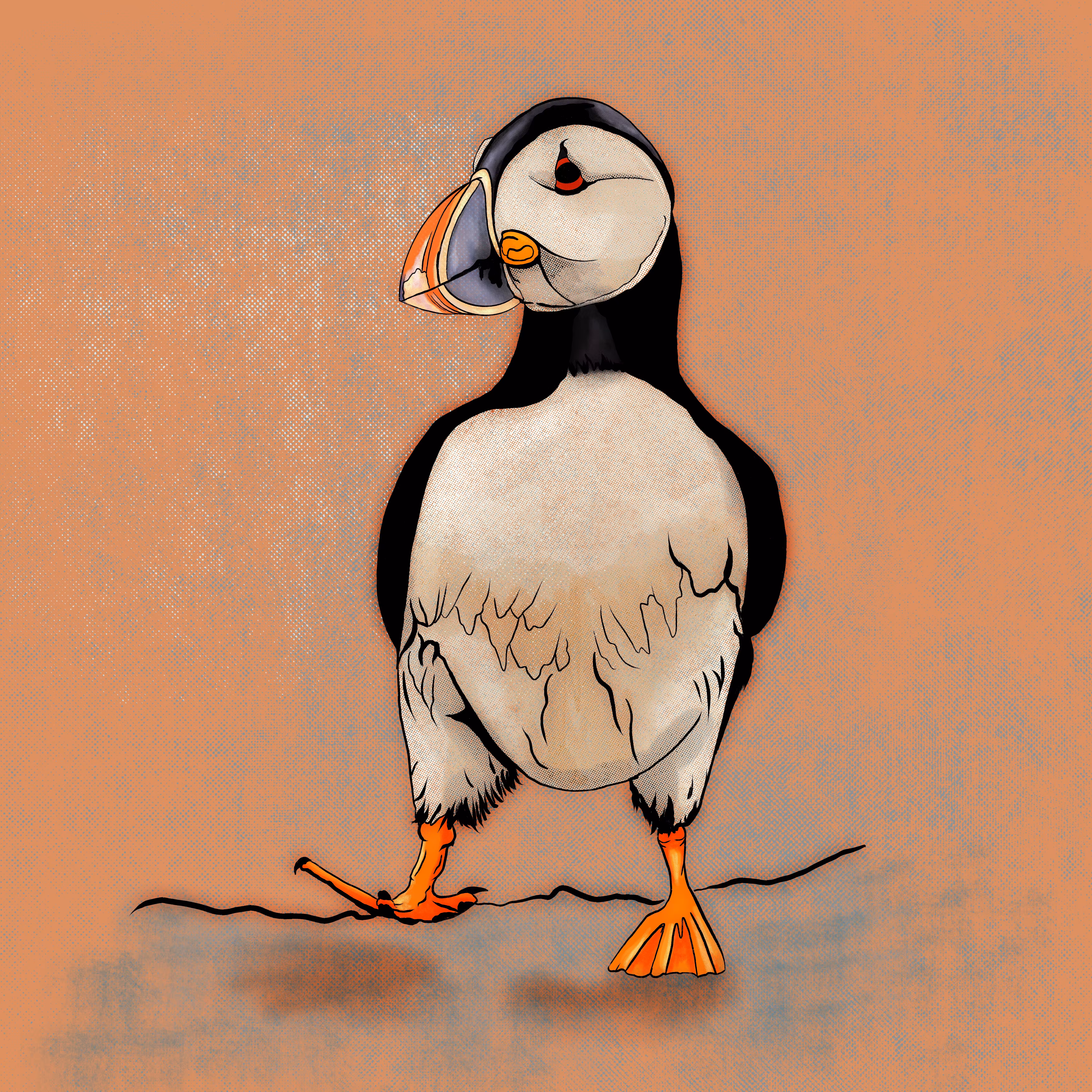 Niobirds 