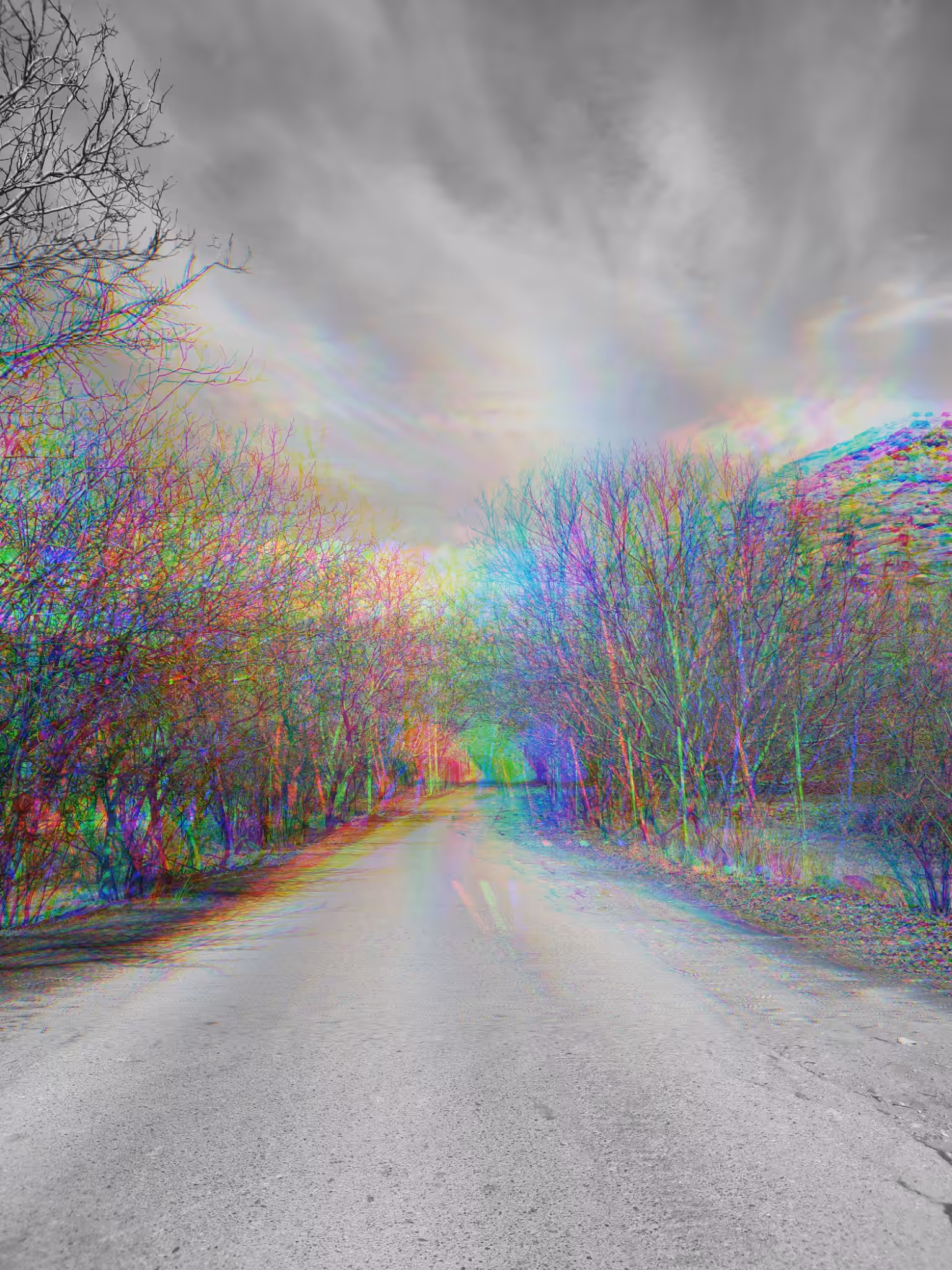 Trip