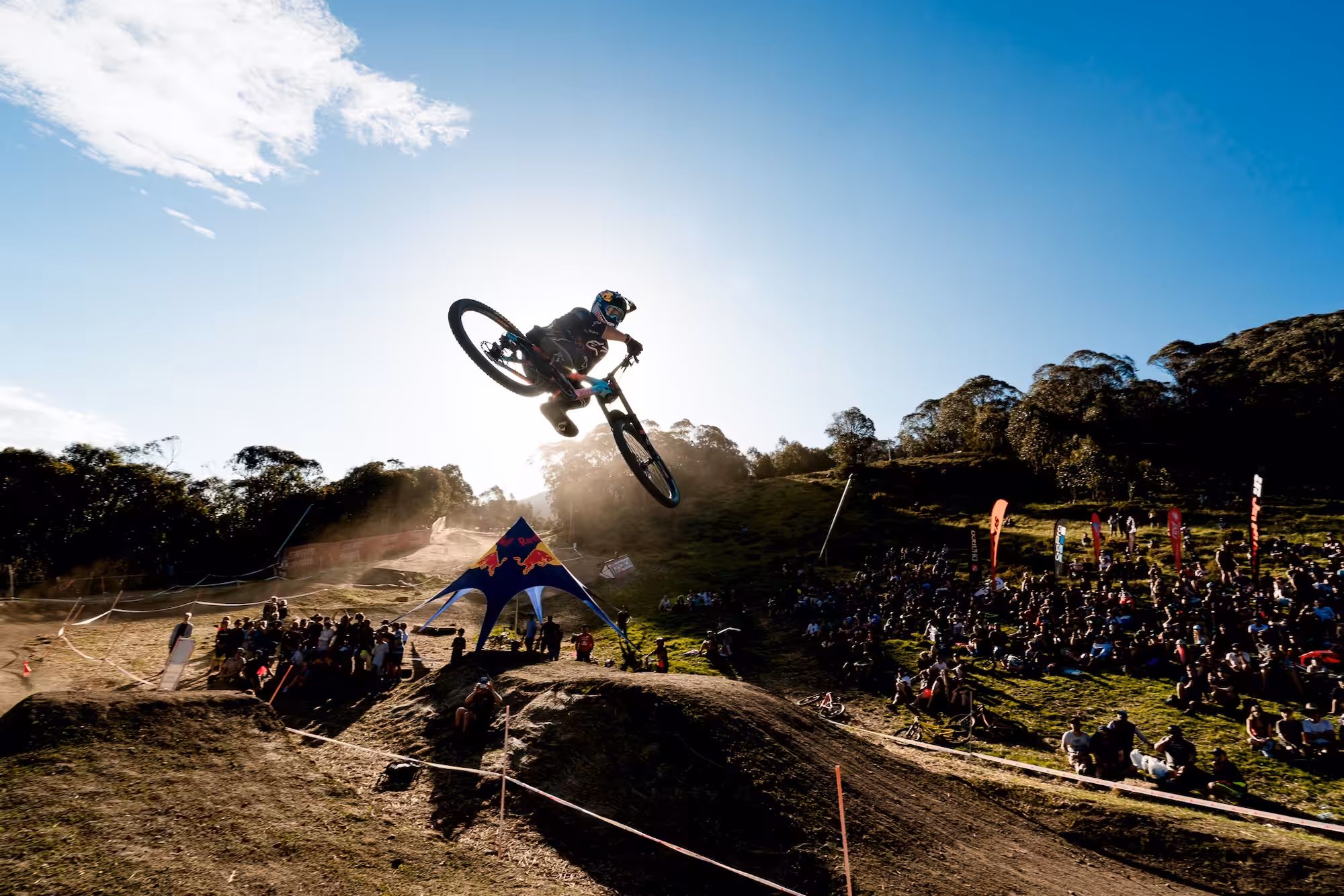 Mountainbike Origins #13. Backlit Bulldog