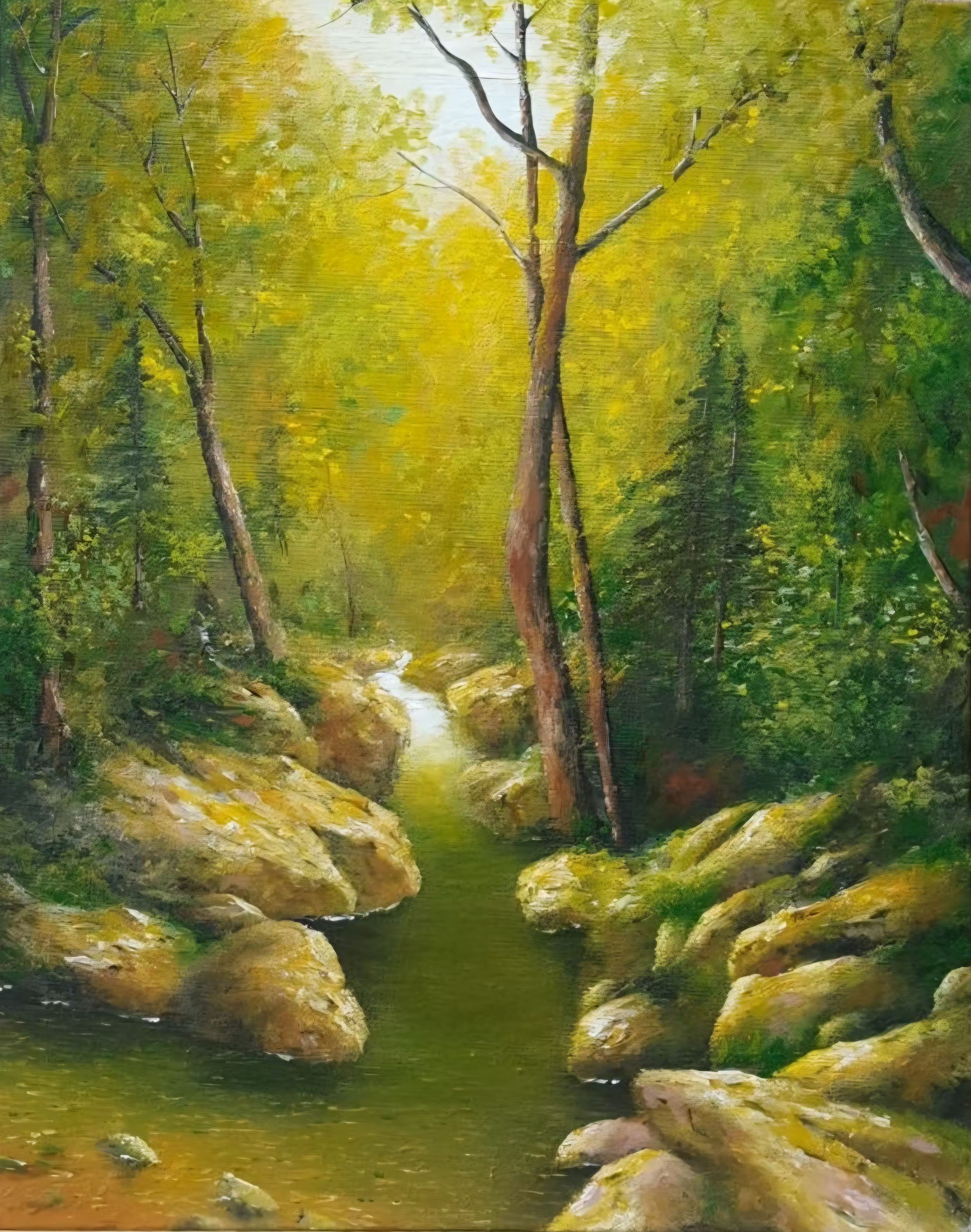 Through the forest