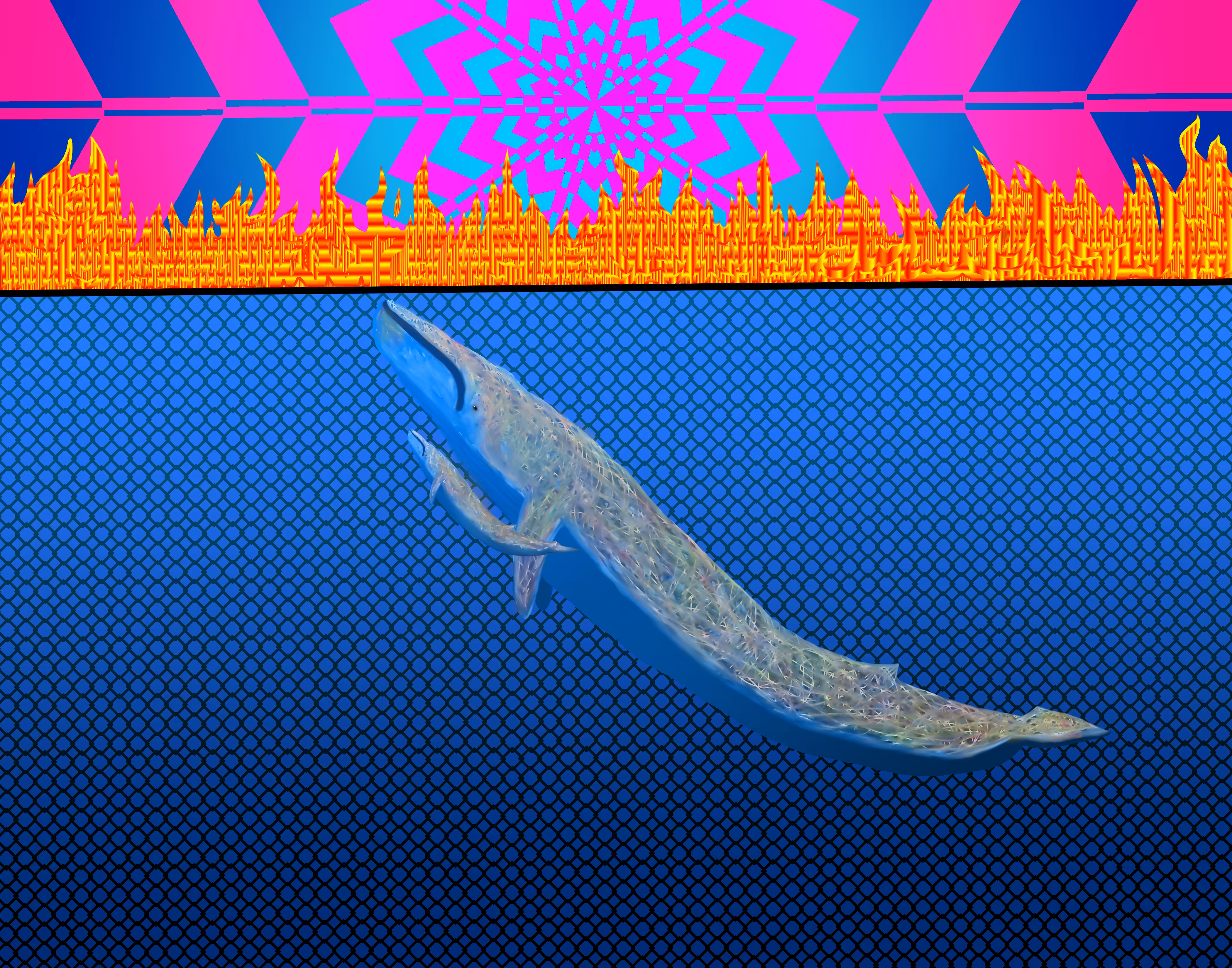 Blue Whale Dilemma
