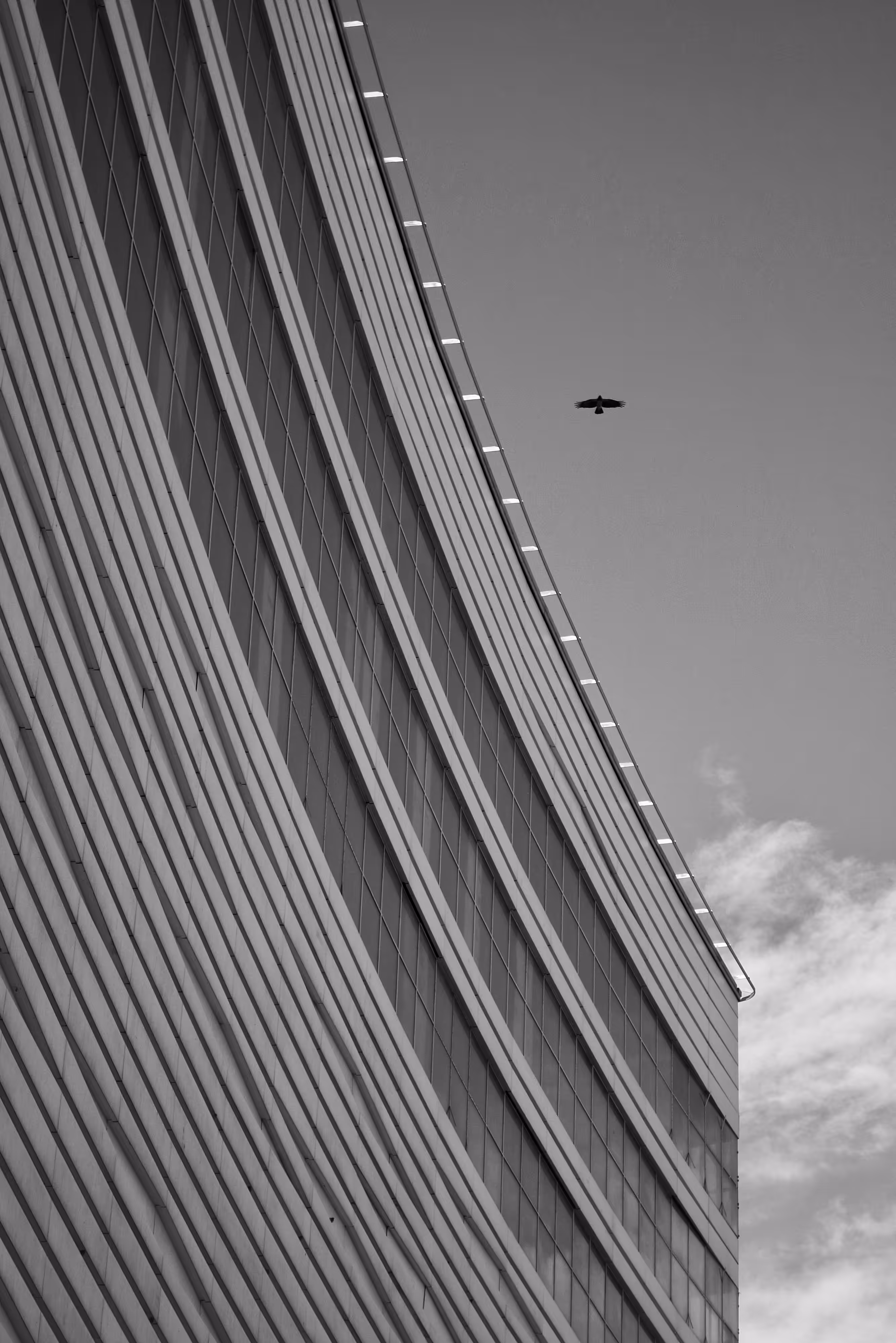 Urban Ascent
